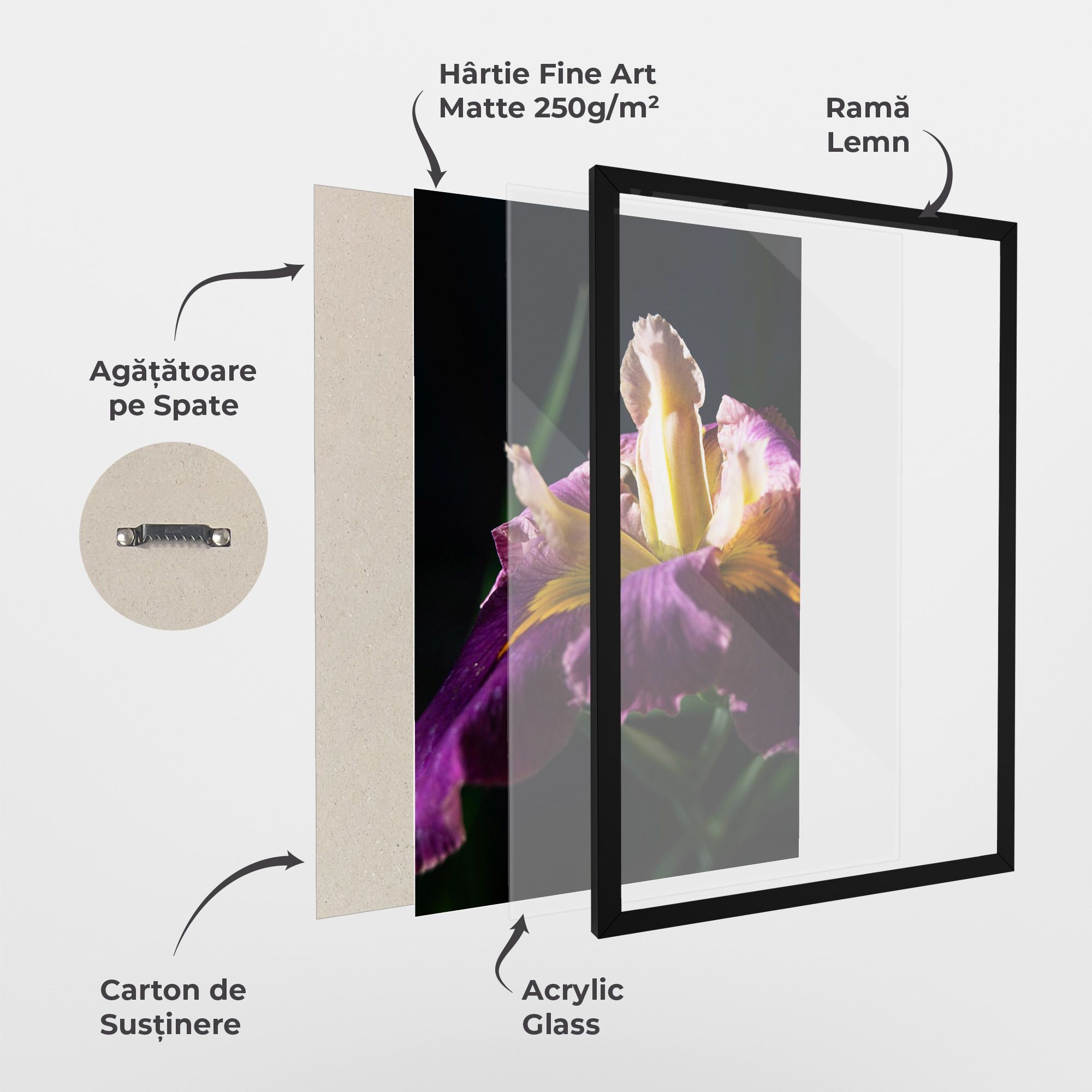 Pastel Yellow Iris mockup 1