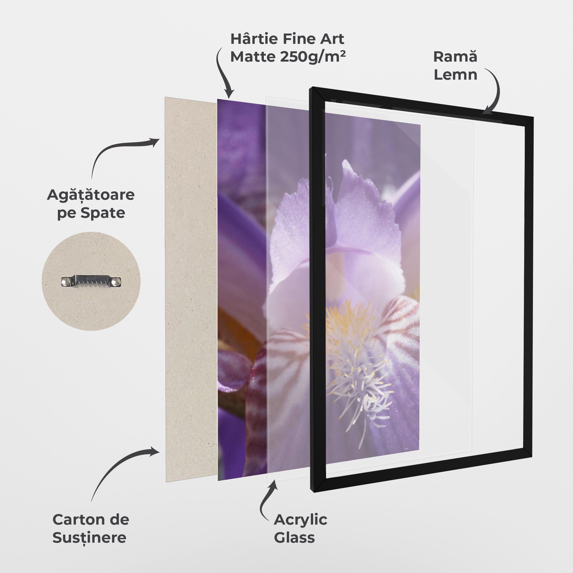 Purple Iris Close Up mockup 1