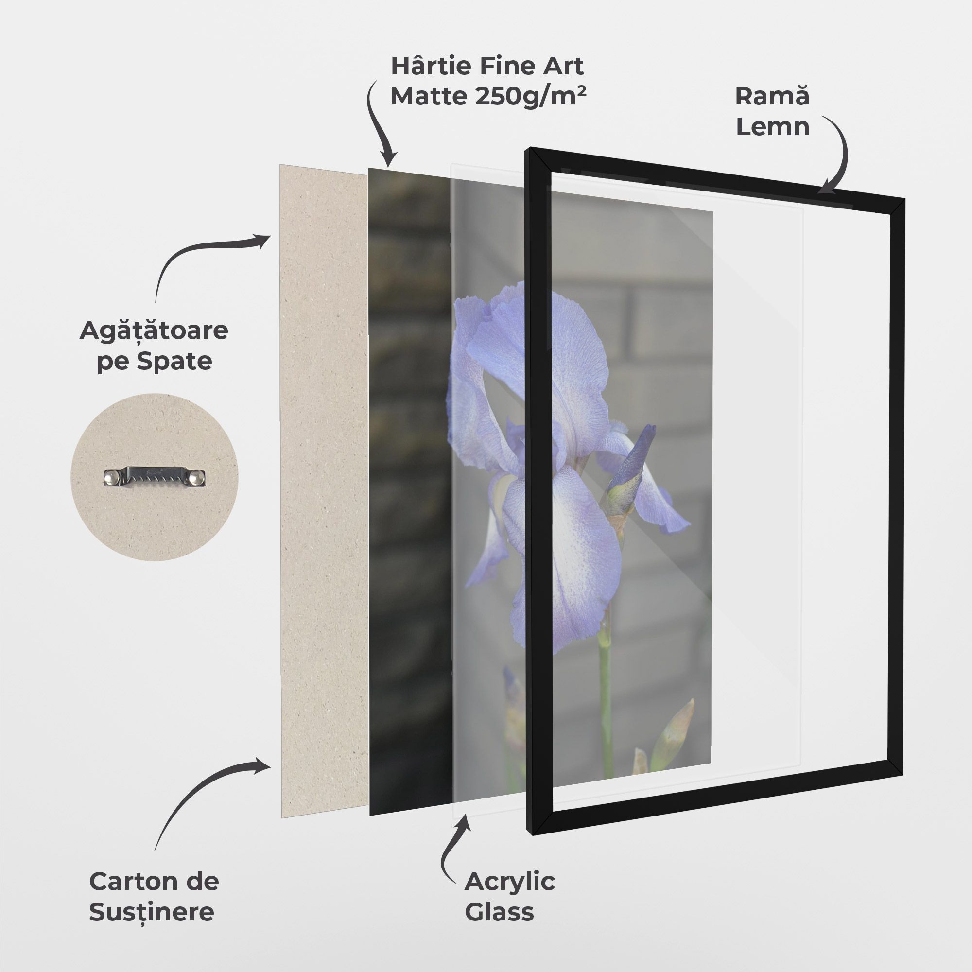 Purple Iris On Gray mockup 1