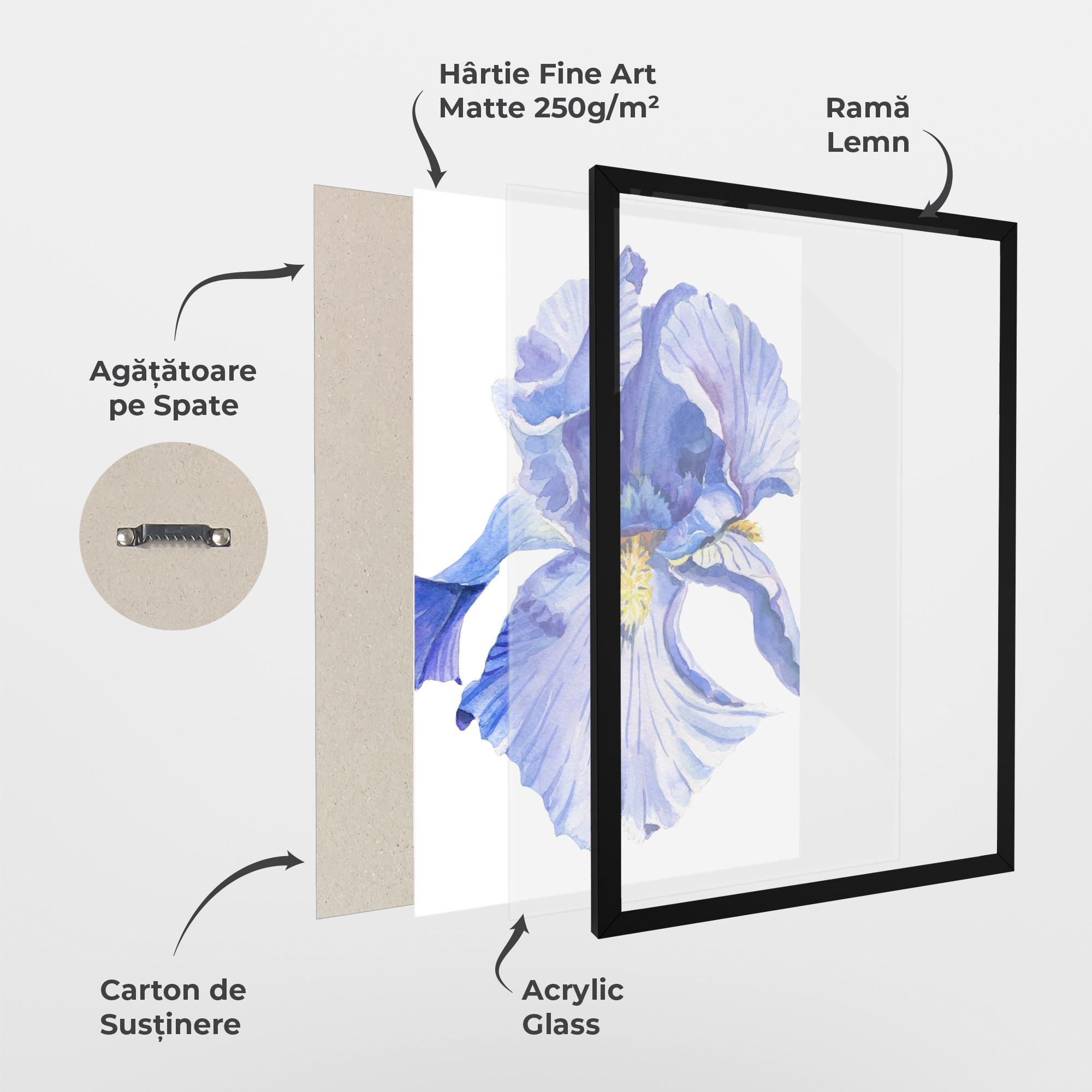 Poster Înrămat Purple Iris On White mockup 1