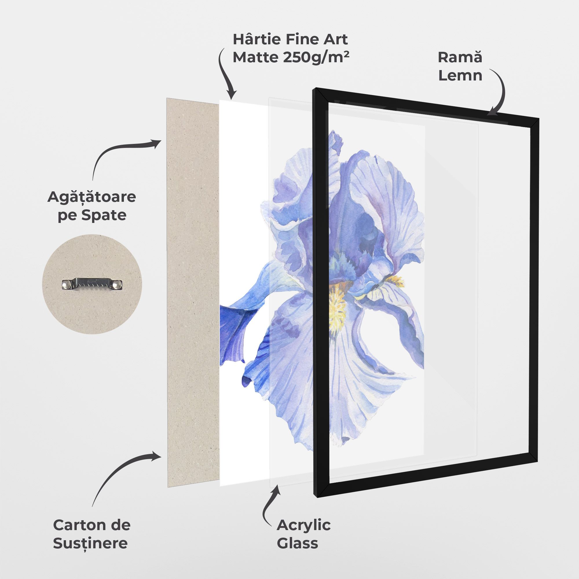 Purple Iris On White mockup 1