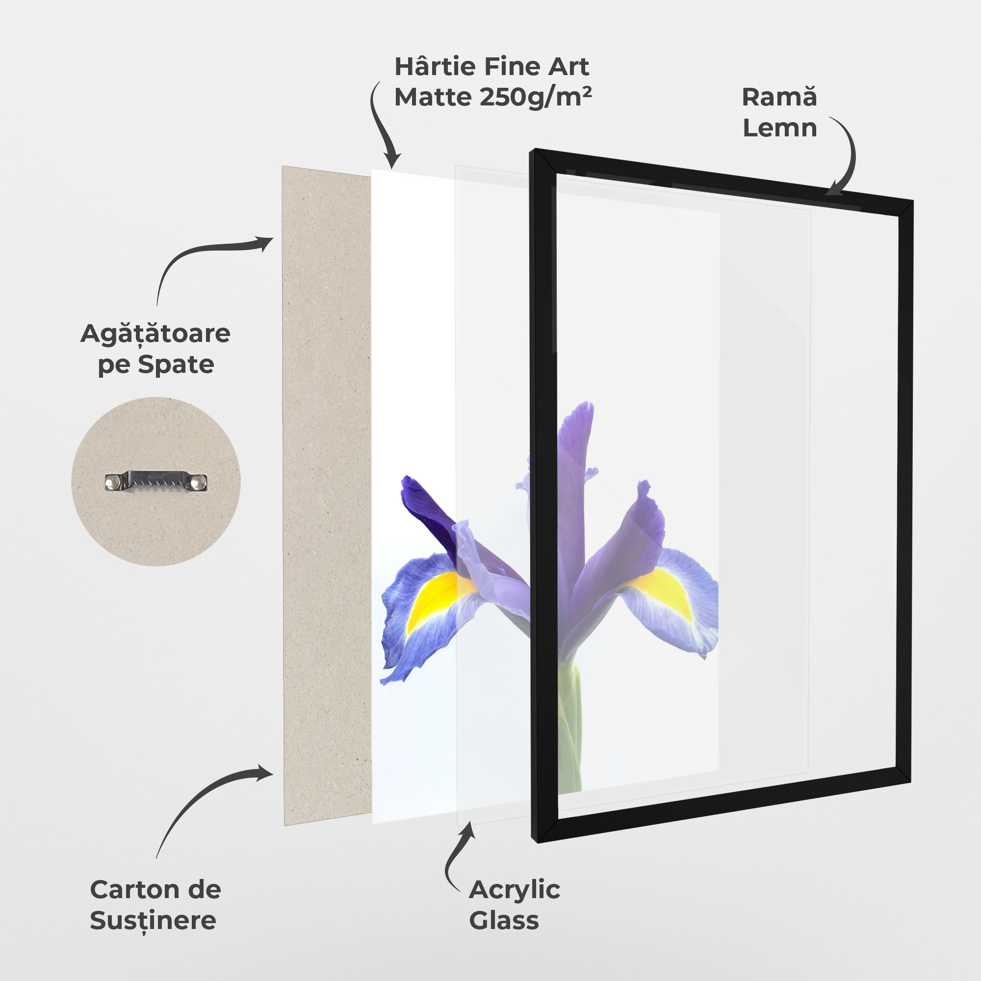 Yellow Color Iris mockup 1