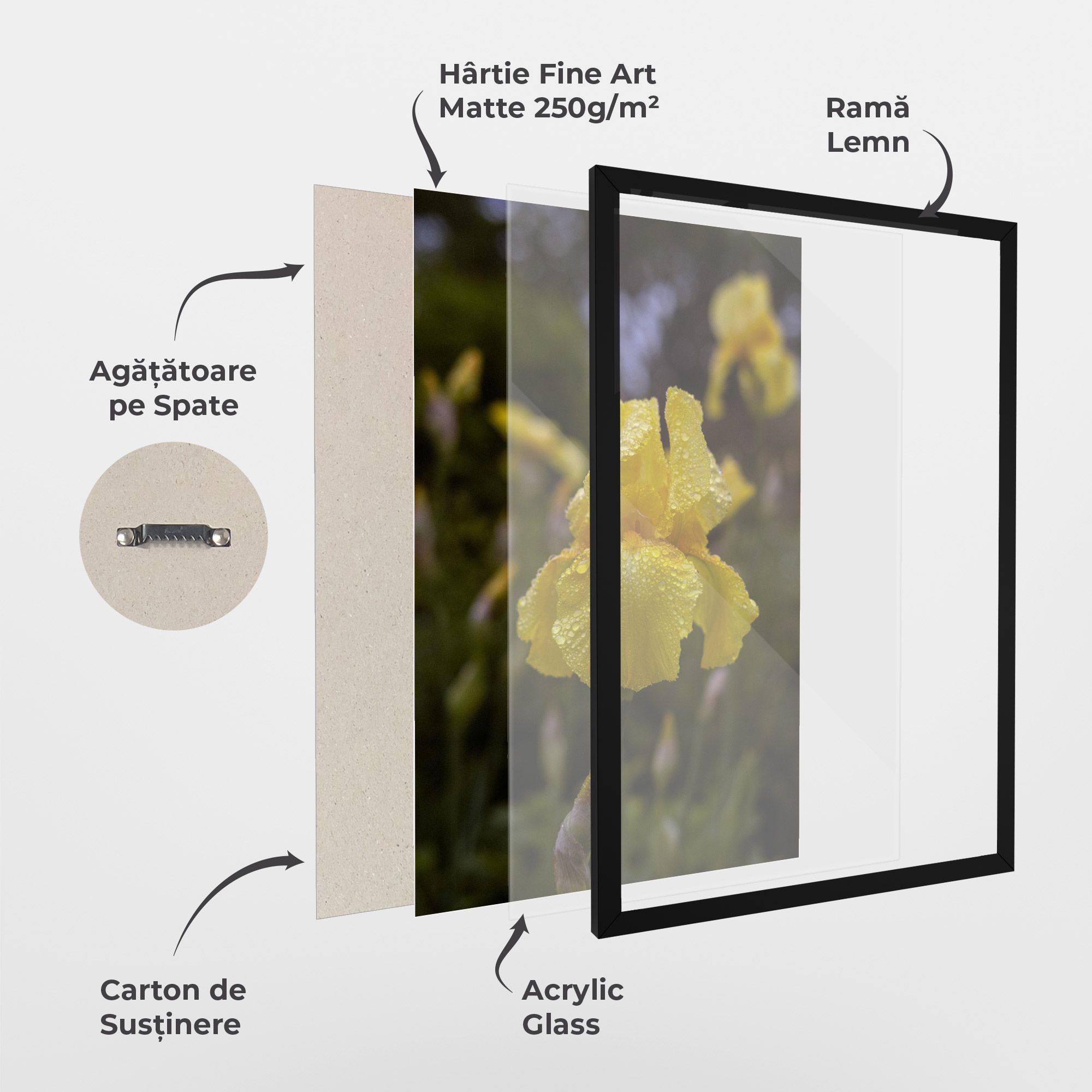 Yellow Iris After Rain mockup 1