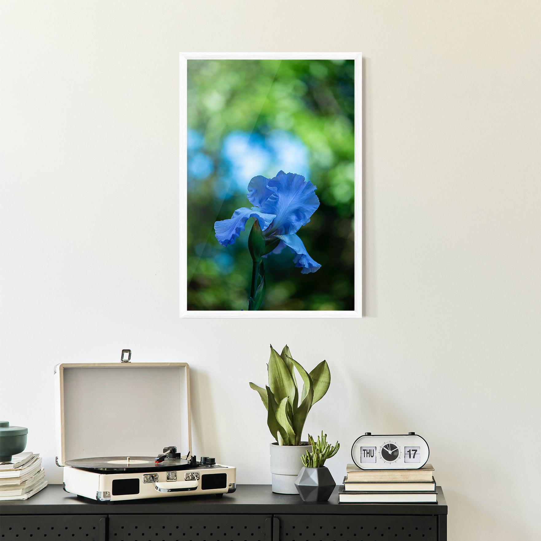 Poster Înrămat Blue Iris In The Garden mockup 2