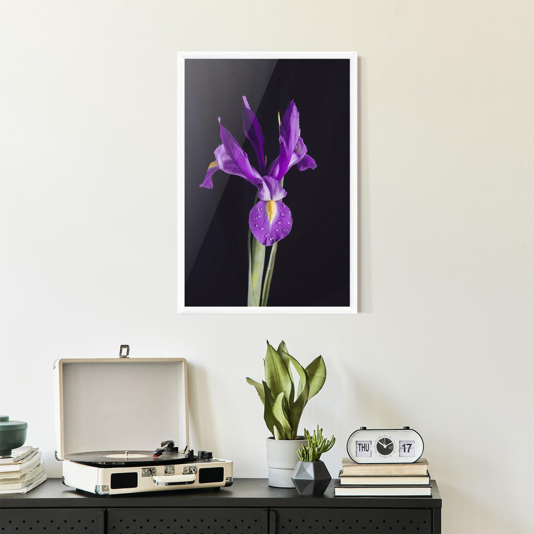 Poster Înrămat Fresh Purple Iris mockup 2