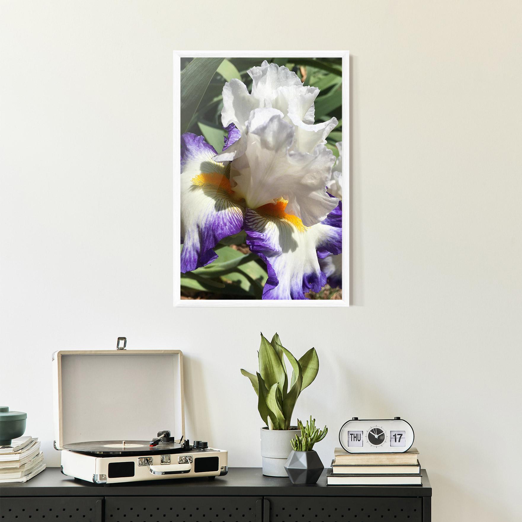 Poster Înrămat Garden White Purple Irirs mockup 2