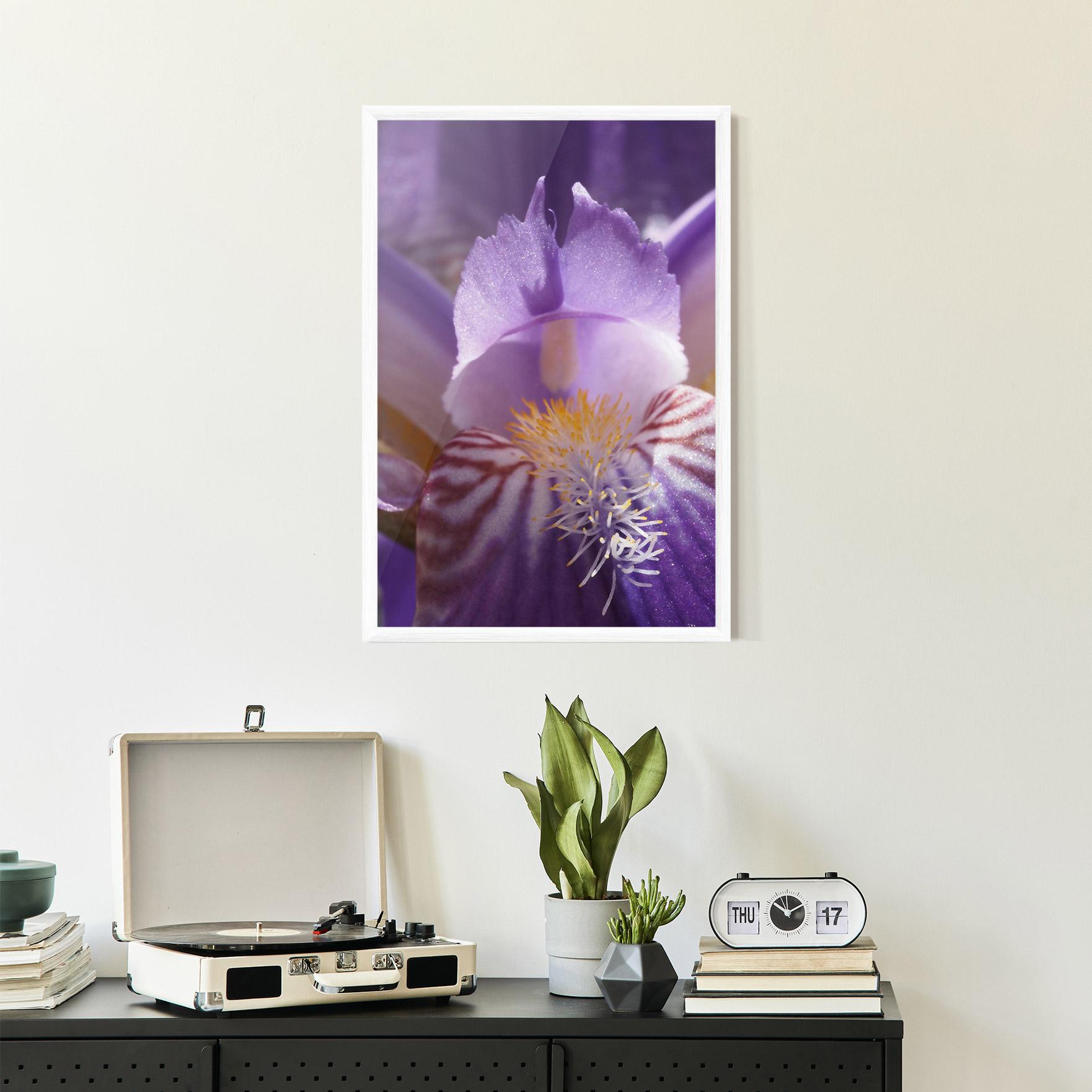 Poster Înrămat Purple Iris Close Up mockup 2