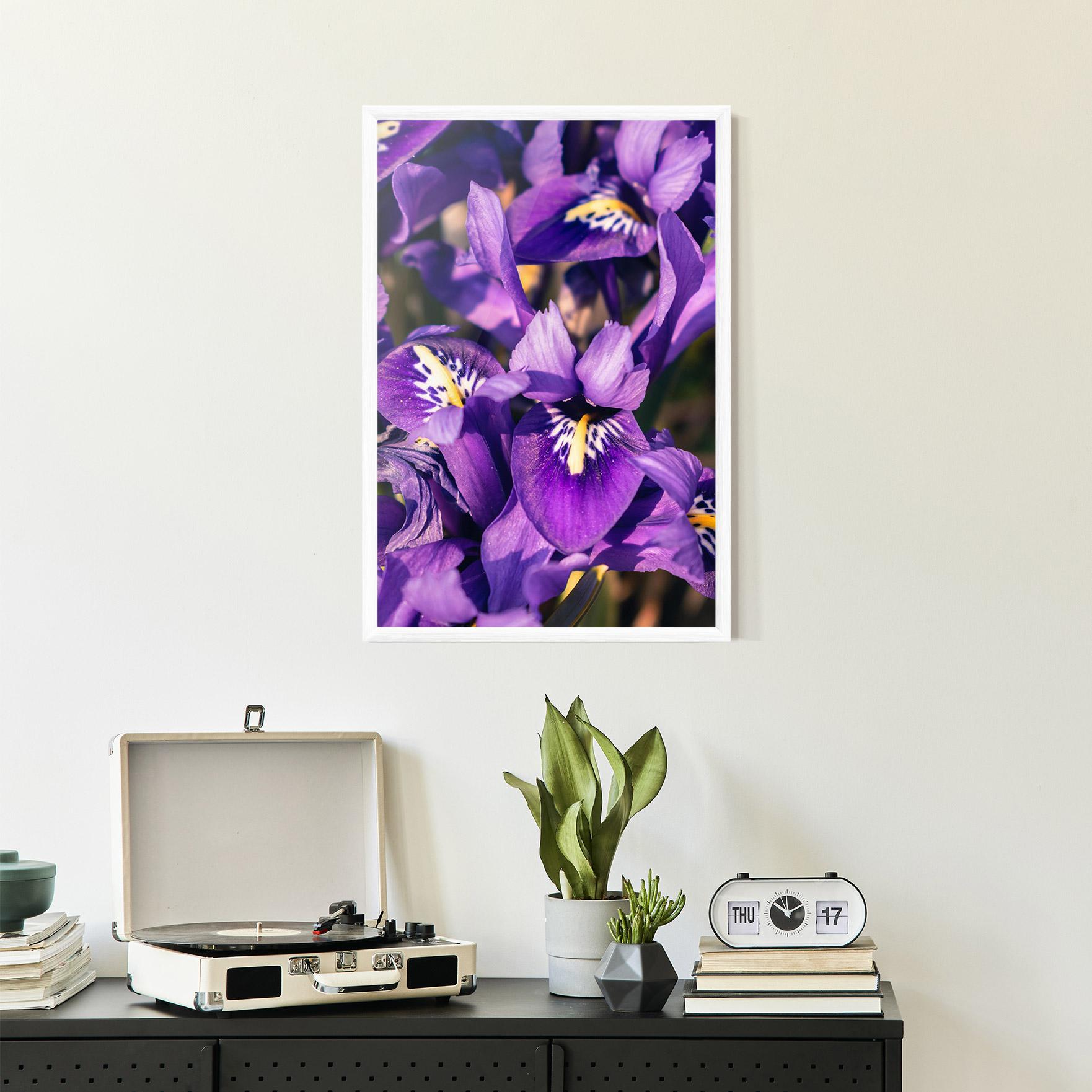 Poster Înrămat Small Purple Iris mockup 2