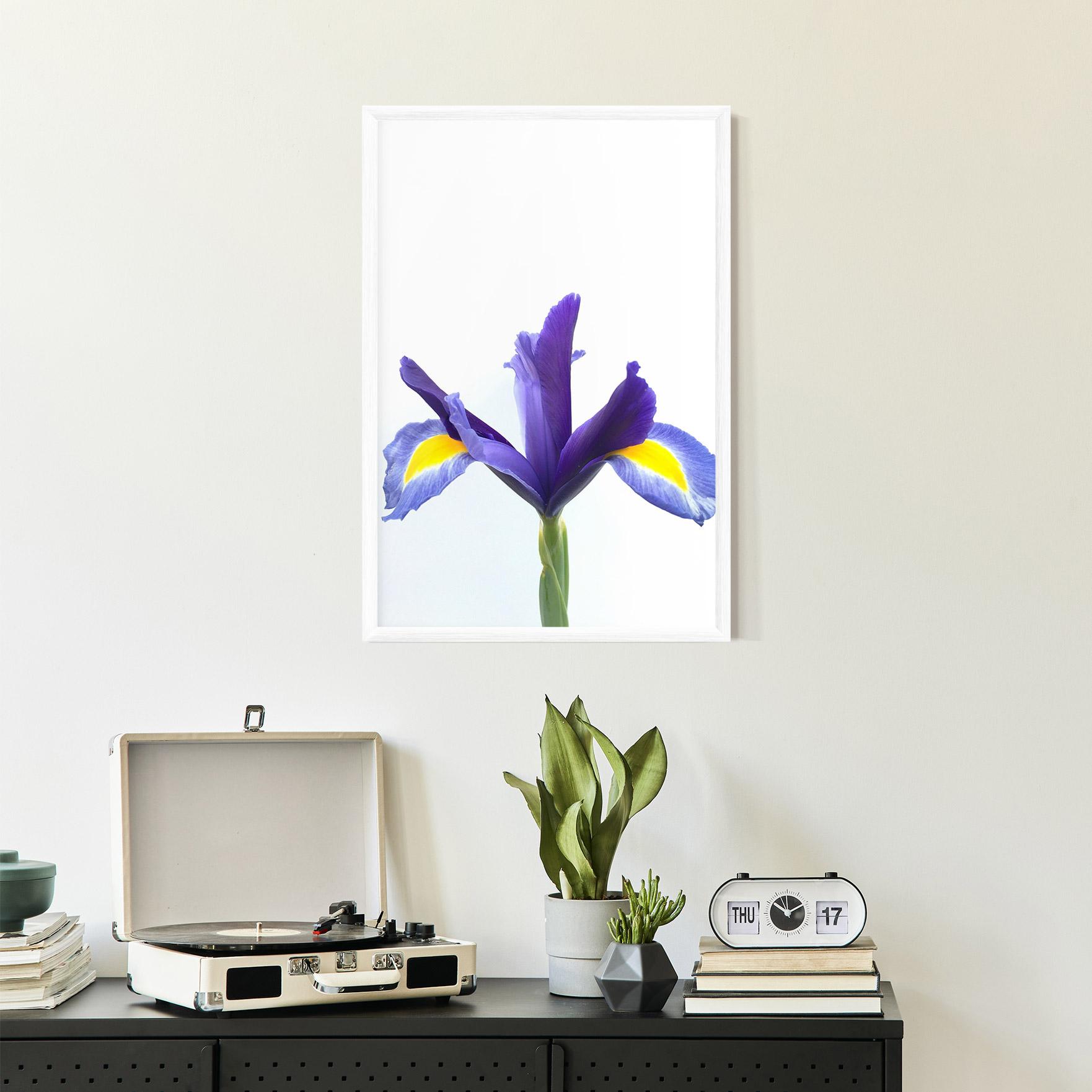 Poster Înrămat Yellow Color Iris mockup 2