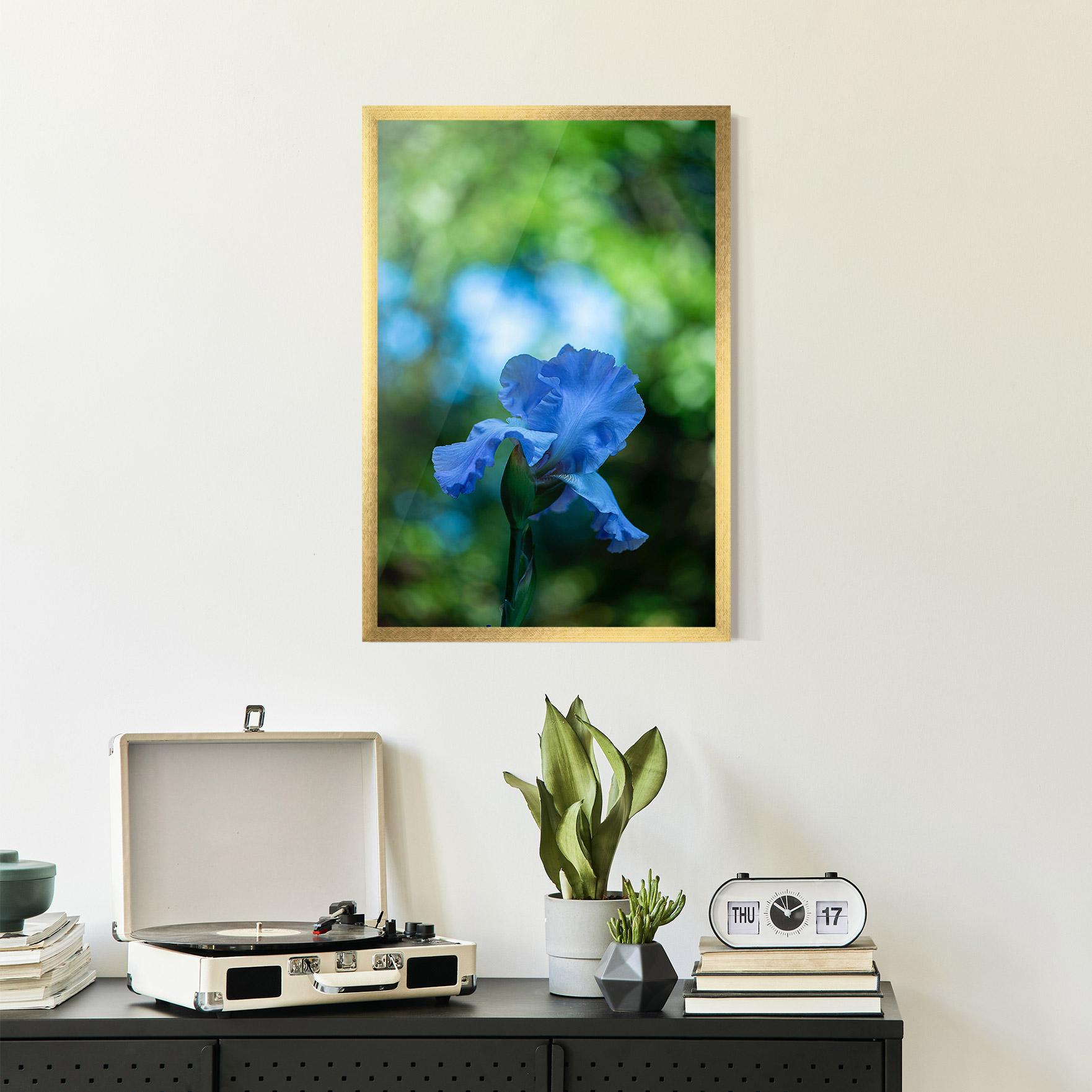 Poster Înrămat Blue Iris In The Garden mockup 2