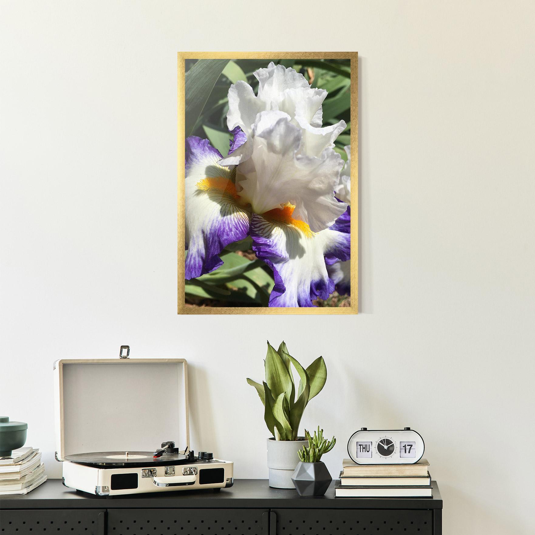 Poster Înrămat Garden White Purple Irirs mockup 2