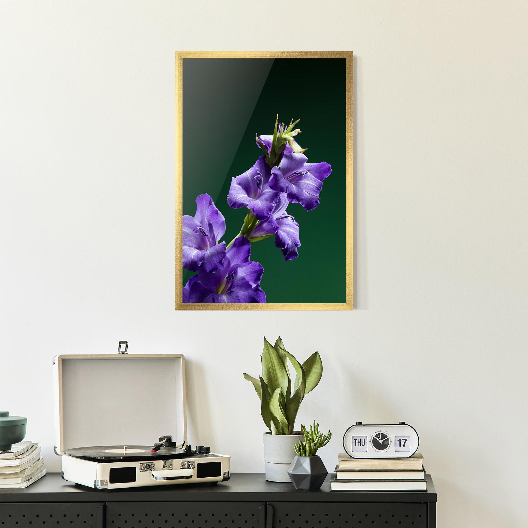 Poster Înrămat Iris On Green mockup 2