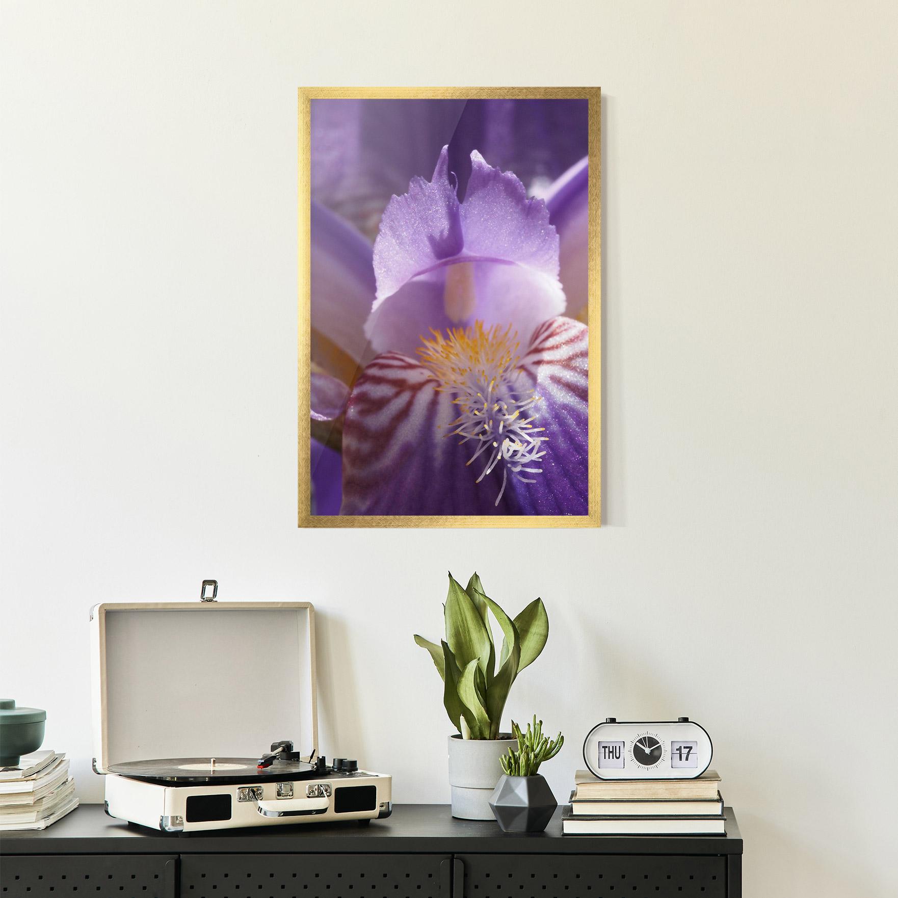 Poster Înrămat Purple Iris Close Up mockup 2