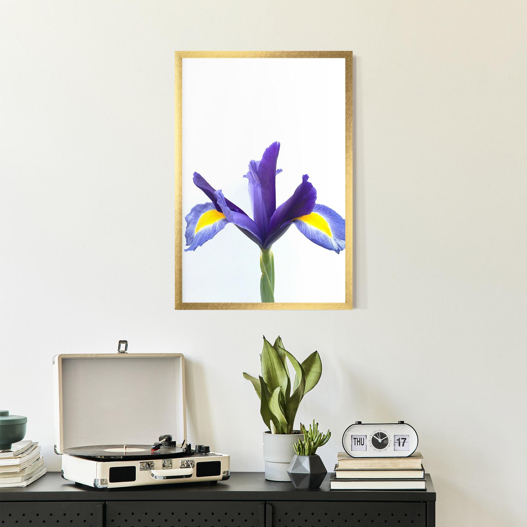 Poster Înrămat Yellow Color Iris mockup 2