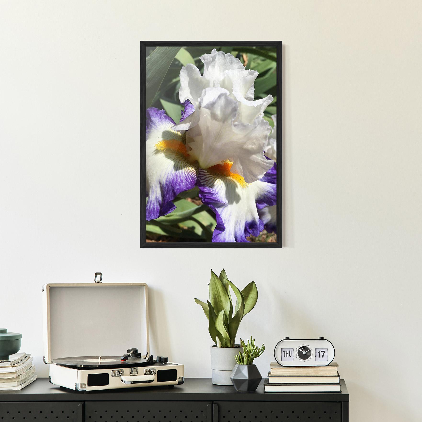 Poster Înrămat Garden White Purple Irirs mockup 2