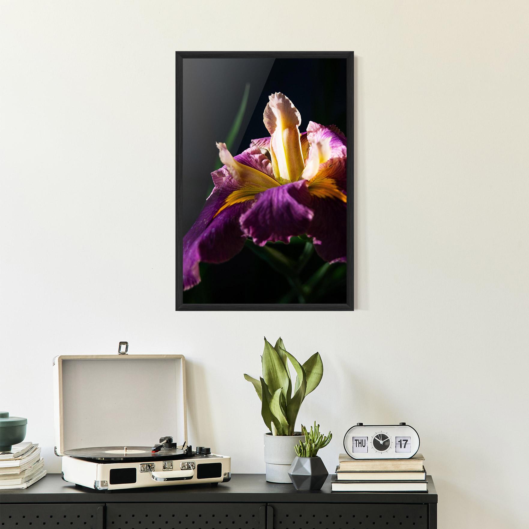 Poster Înrămat Pastel Yellow Iris mockup 2