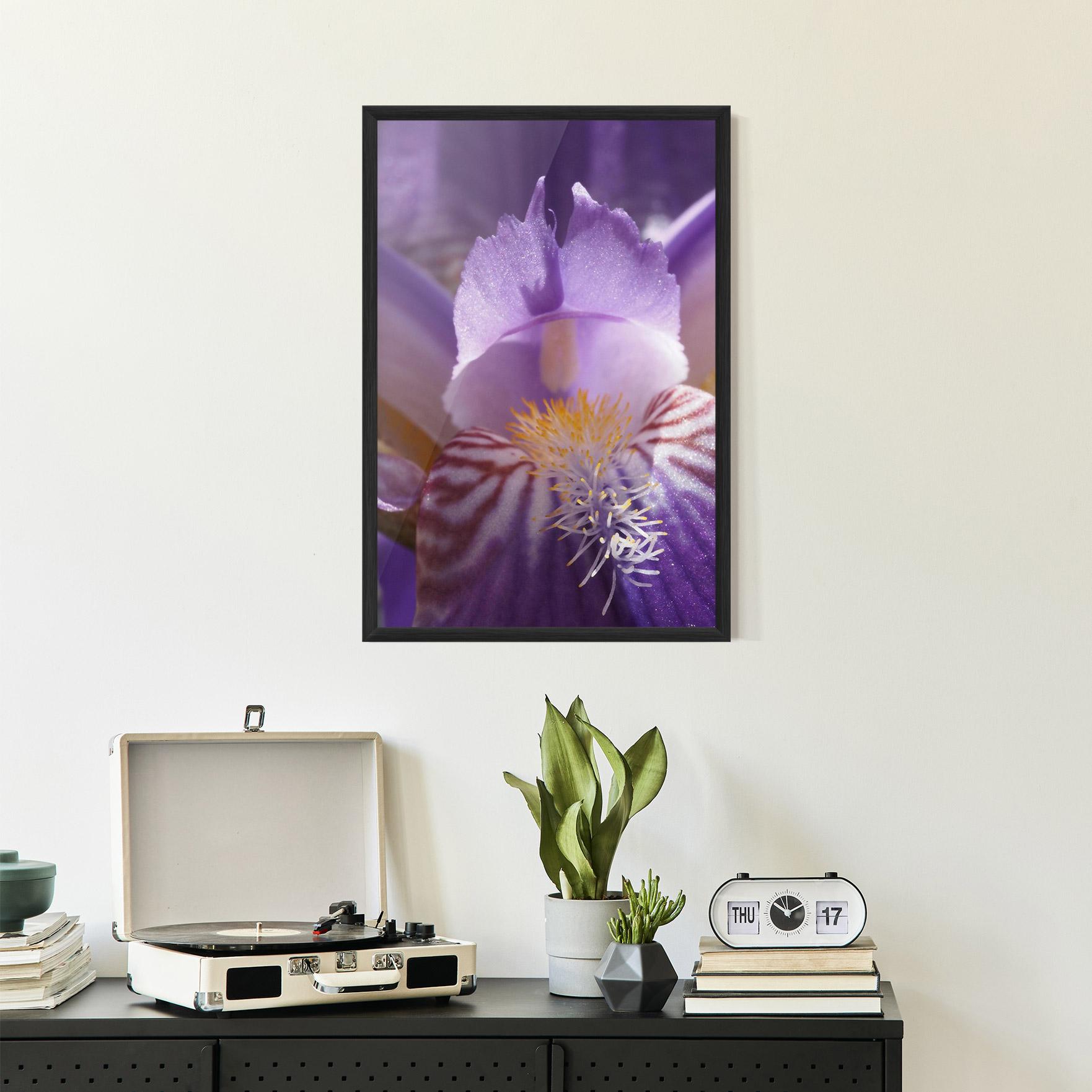 Poster Înrămat Purple Iris Close Up mockup 2