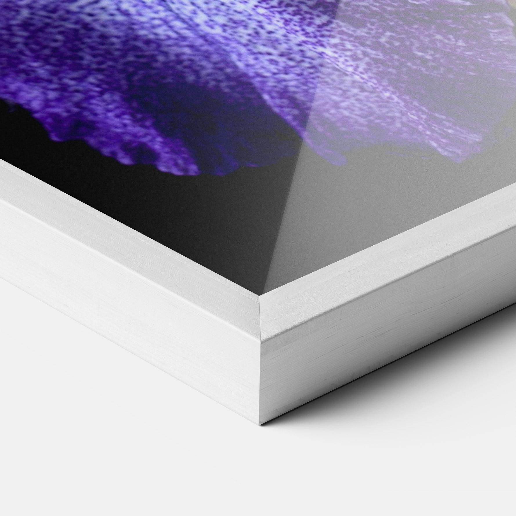 Poster Înrămat Dark Purple Iris On Black mockup 3