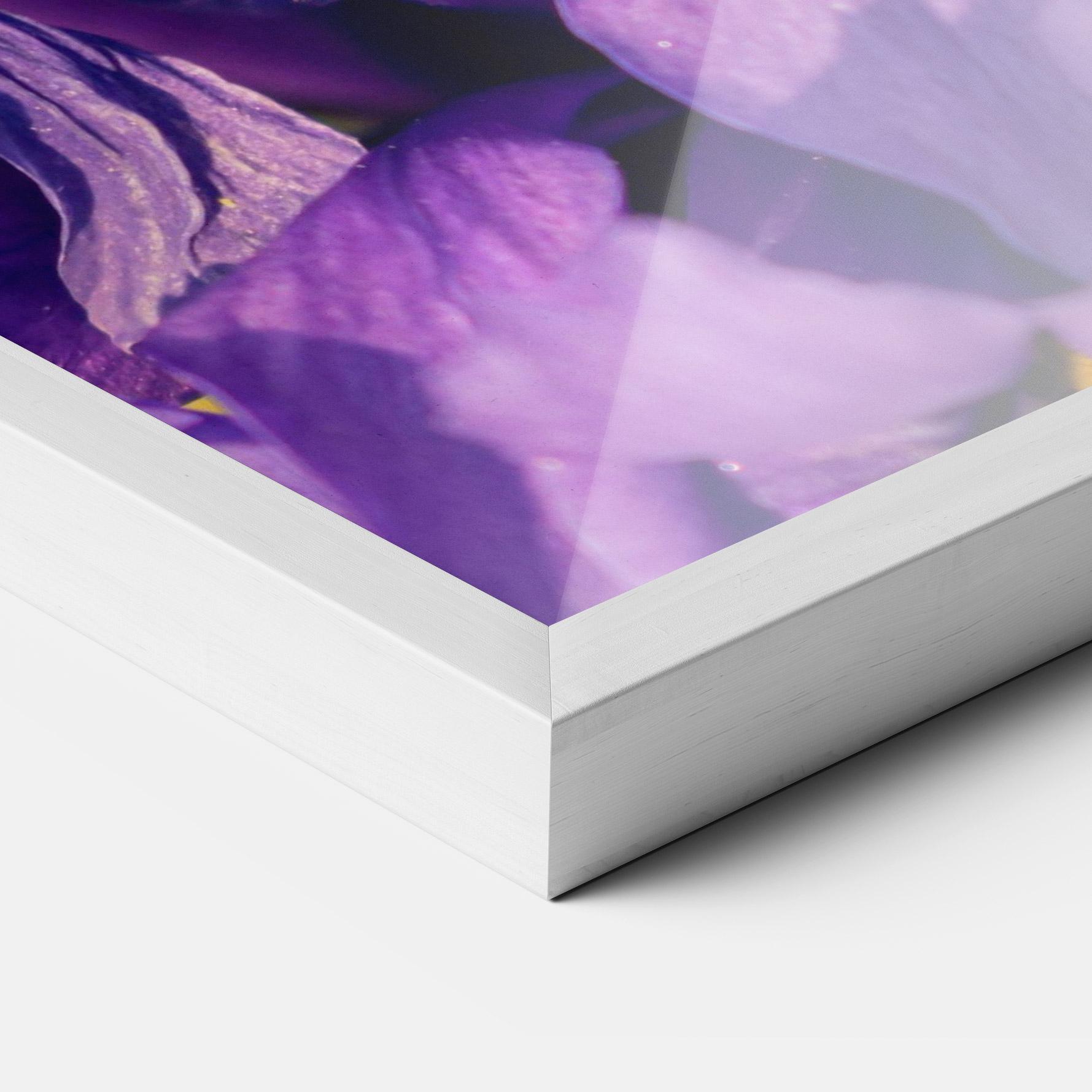 Poster Înrămat Small Purple Iris mockup 3