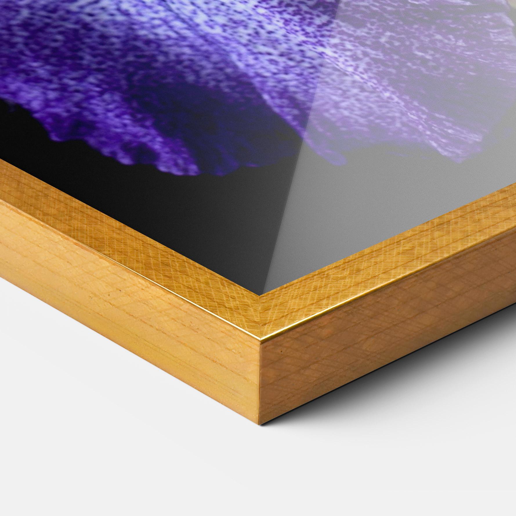 Poster Înrămat Dark Purple Iris On Black mockup 3