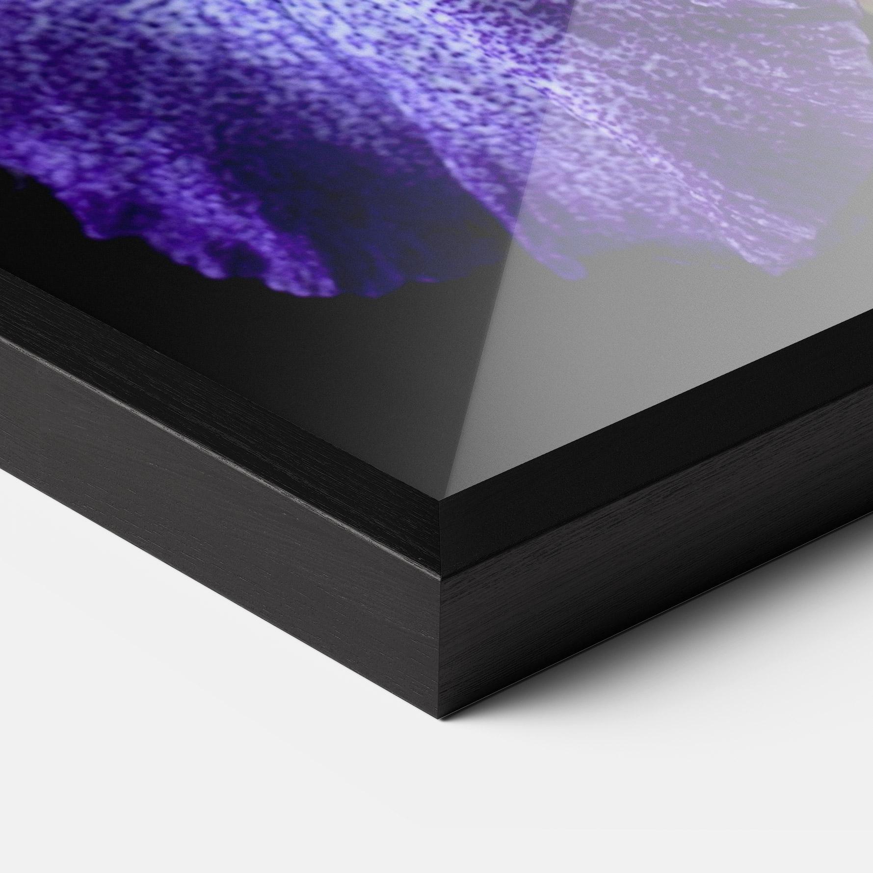 Poster Înrămat Dark Purple Iris On Black mockup 3