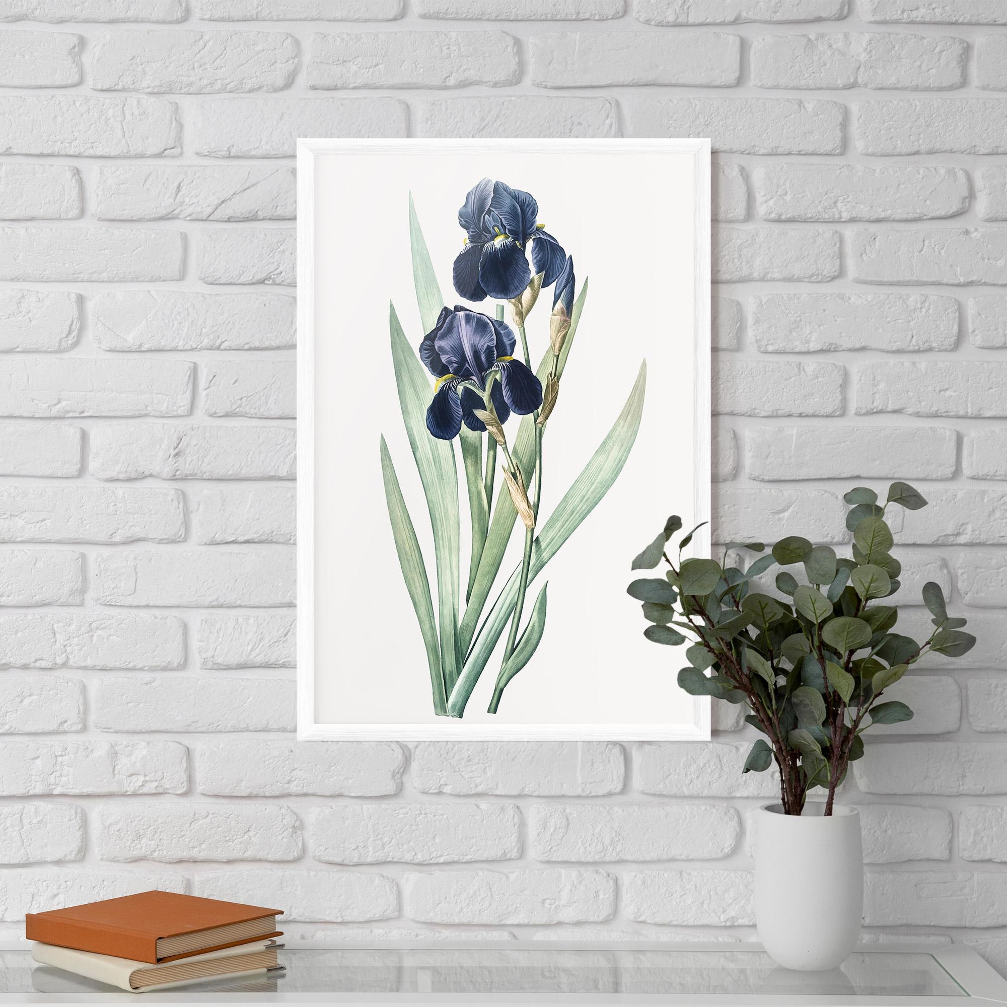 Poster Înrămat Dark Blue Iris mockup 5