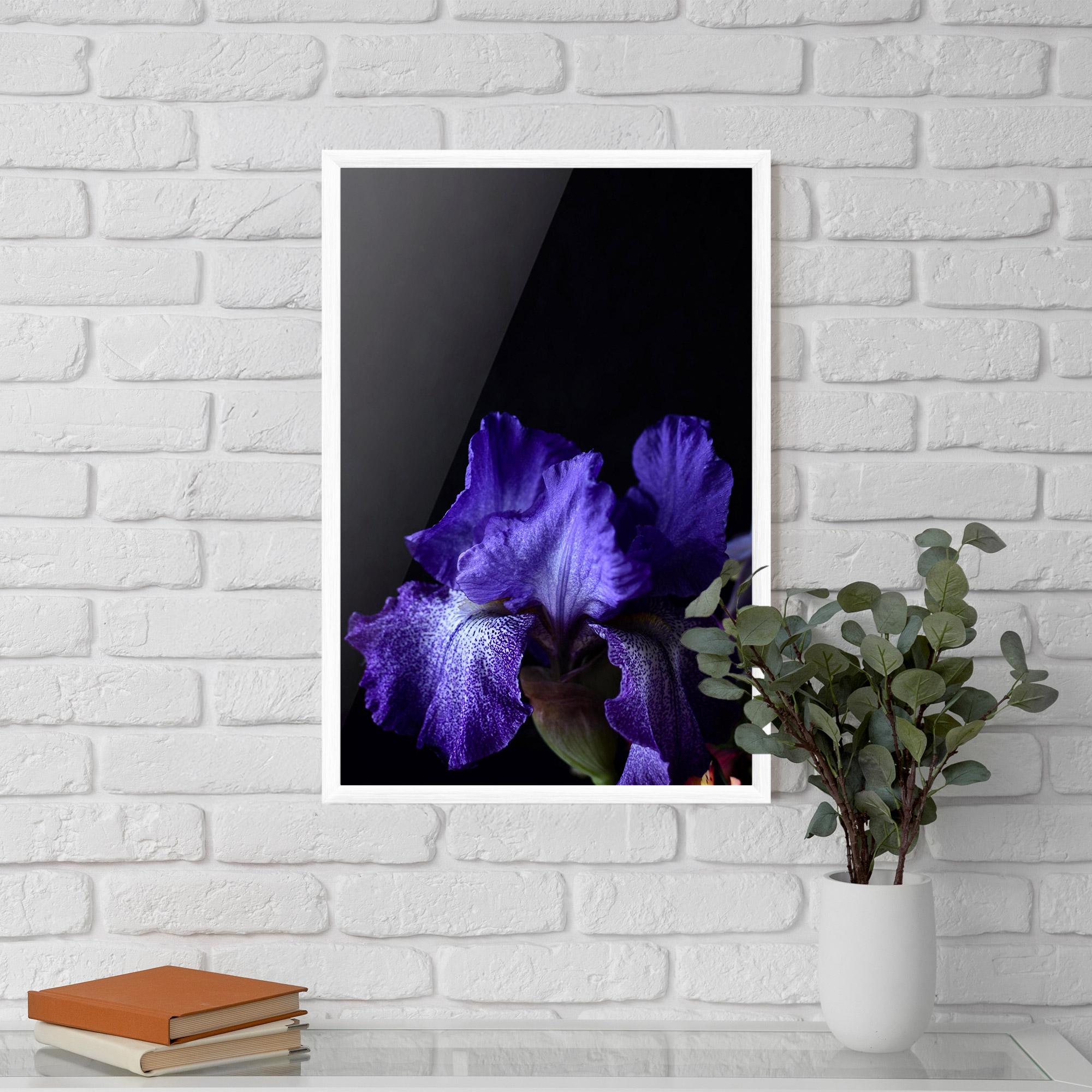 Poster Înrămat Dark Purple Iris On Black mockup 5