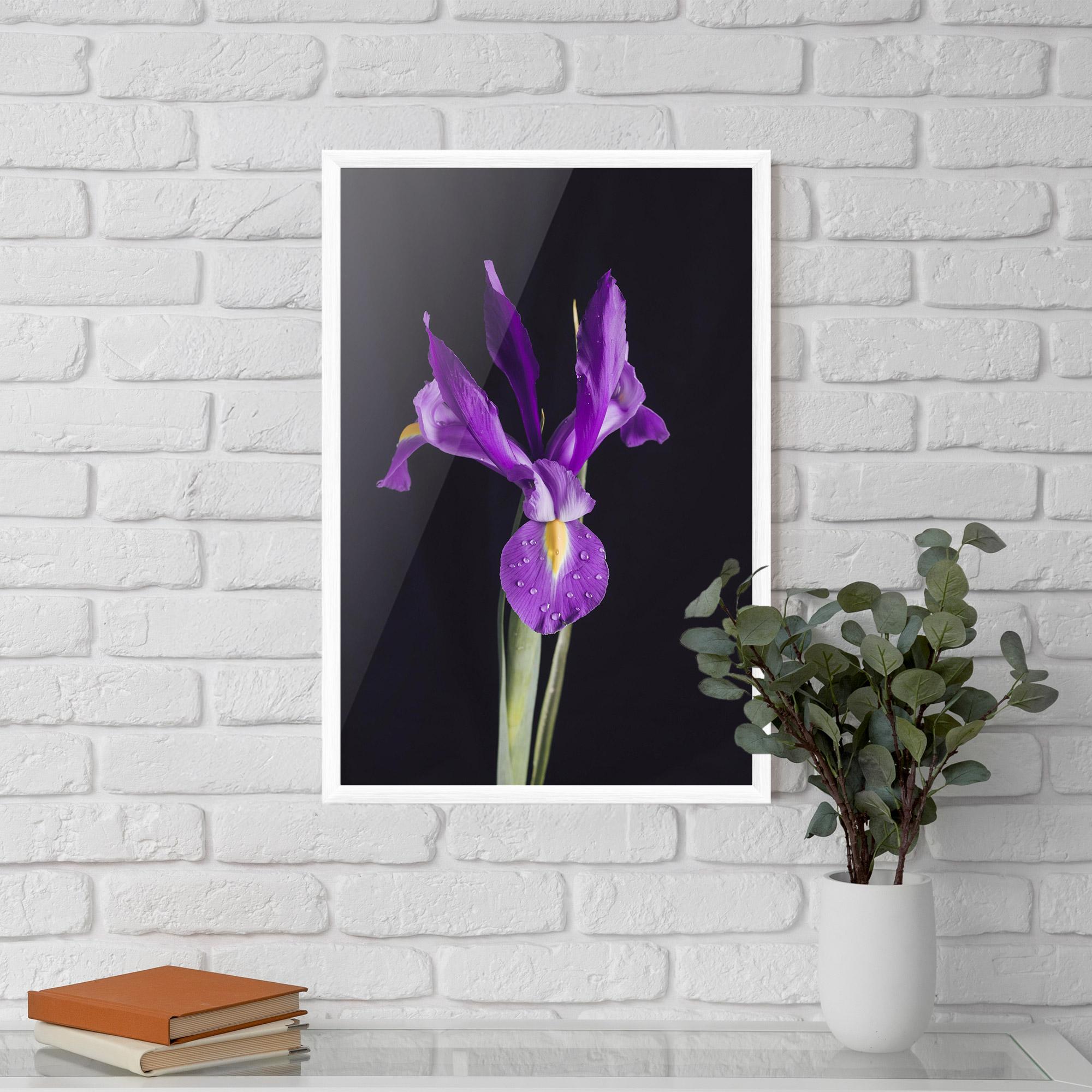 Poster Înrămat Fresh Purple Iris mockup 5