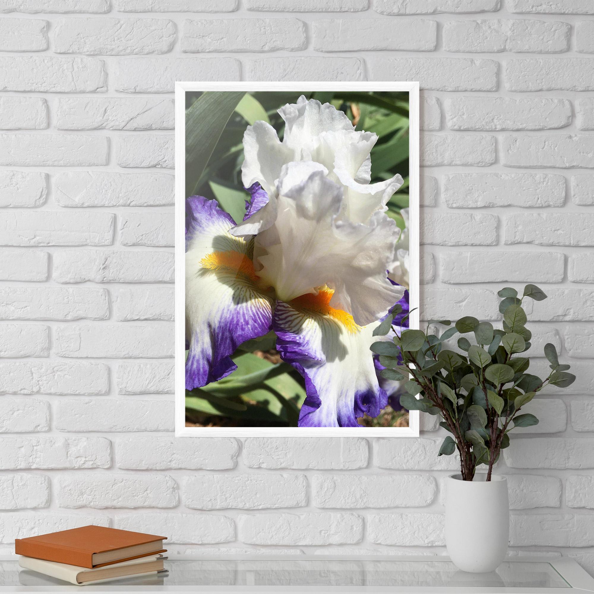 Poster Înrămat Garden White Purple Irirs mockup 5