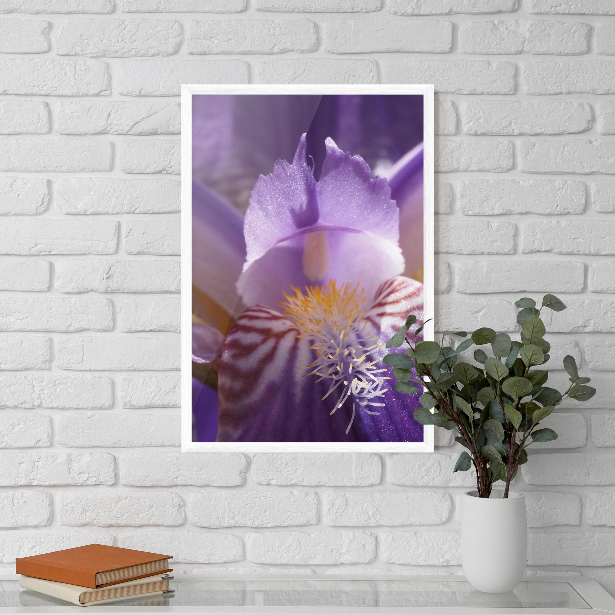 Poster Înrămat Purple Iris Close Up mockup 5
