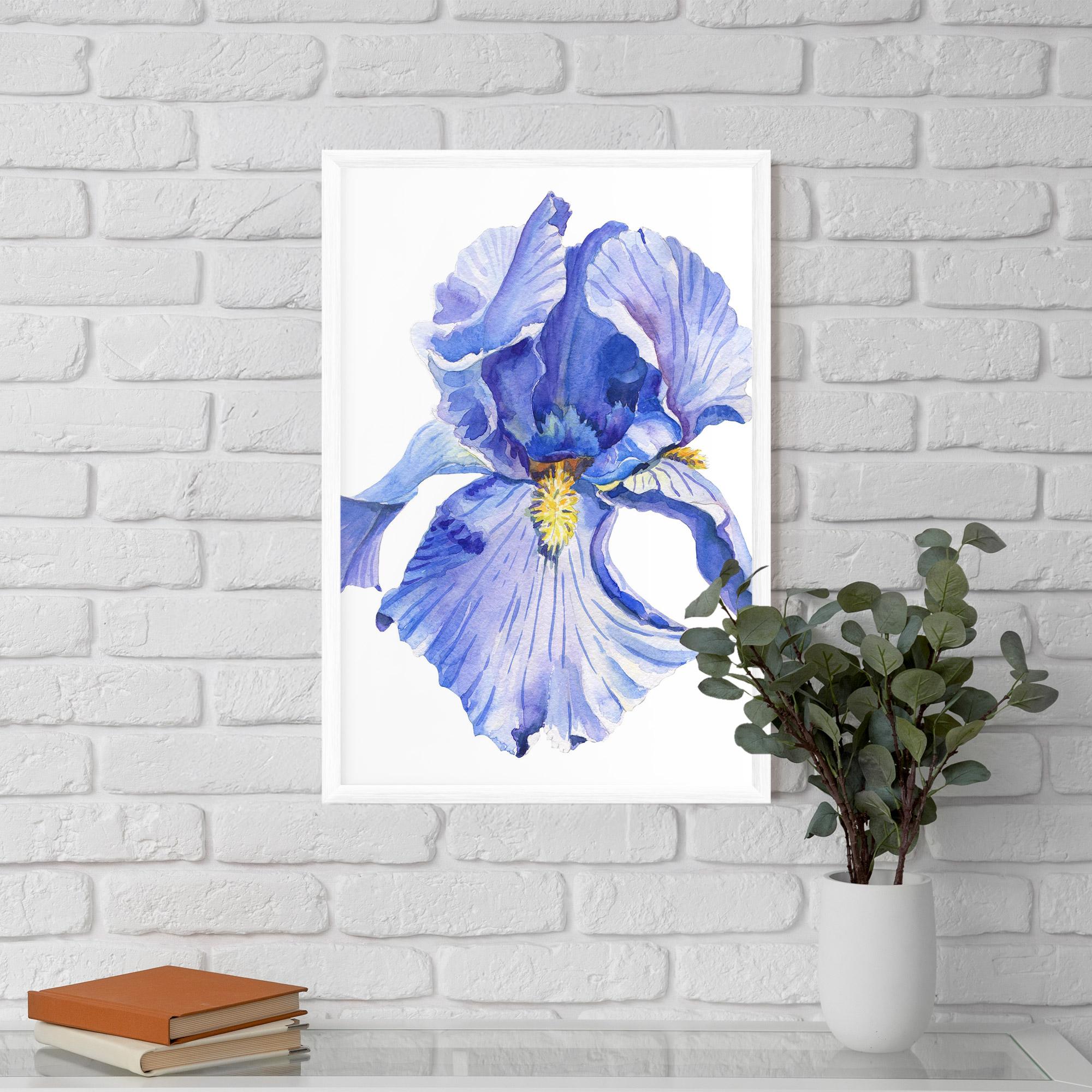 Poster Înrămat Purple Iris On White mockup 5