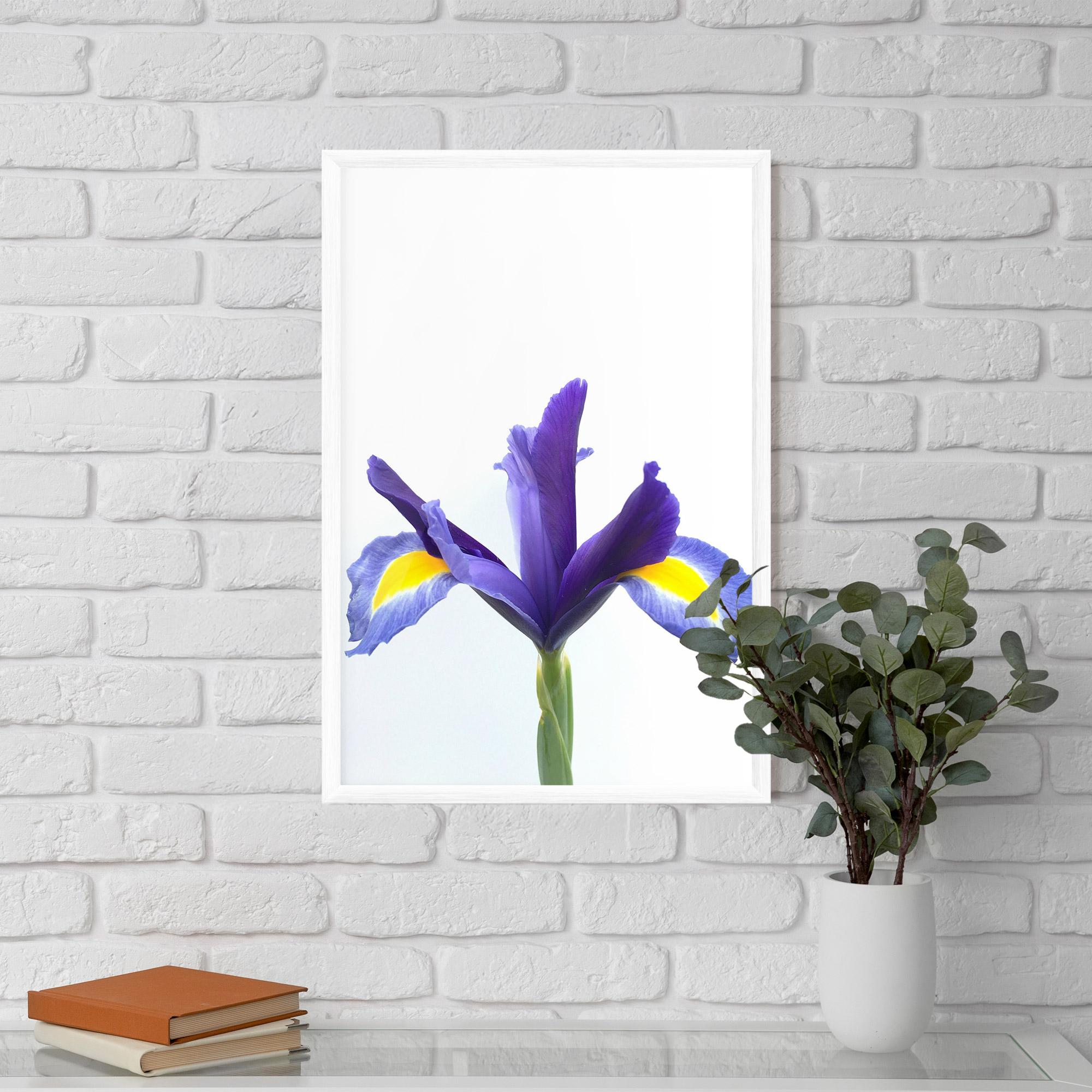 Poster Înrămat Yellow Color Iris mockup 5