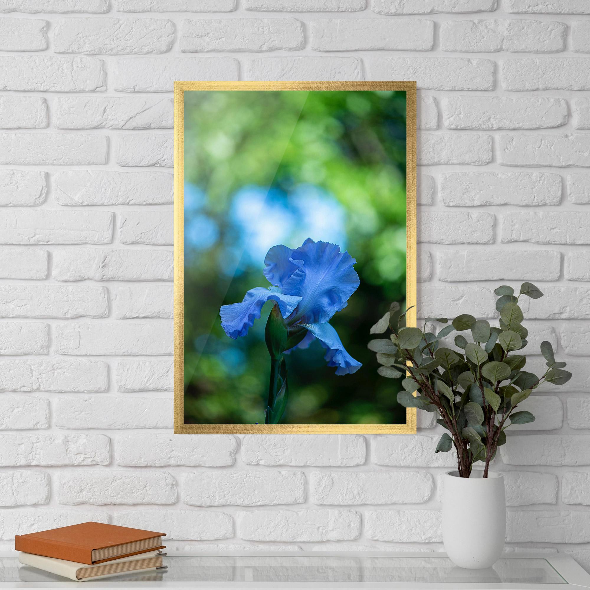 Poster Înrămat Blue Iris In The Garden mockup 5