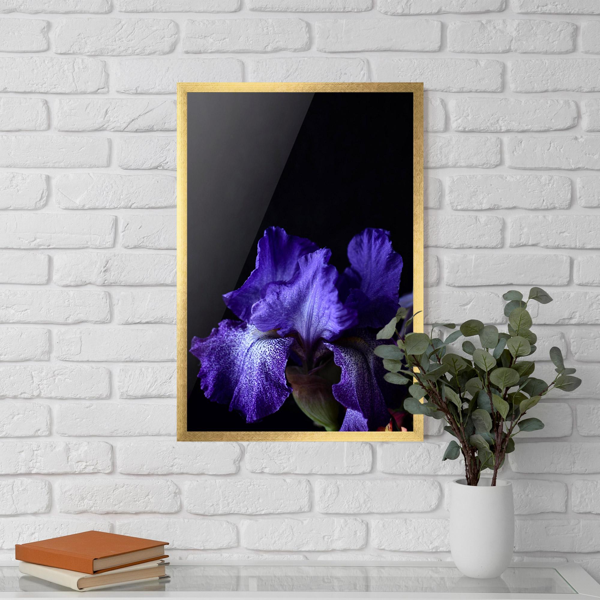 Poster Înrămat Dark Purple Iris On Black mockup 5