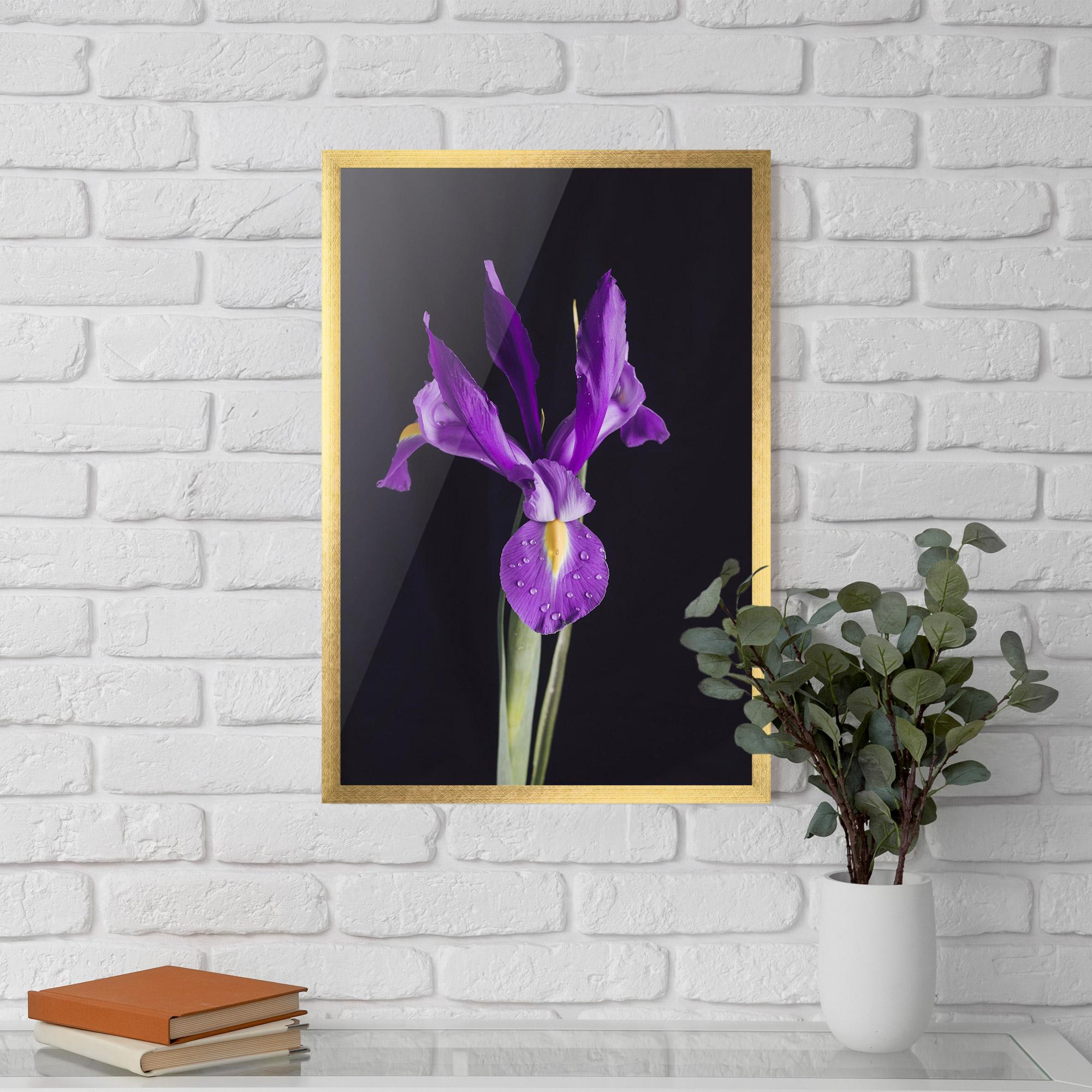 Poster Înrămat Fresh Purple Iris mockup 5