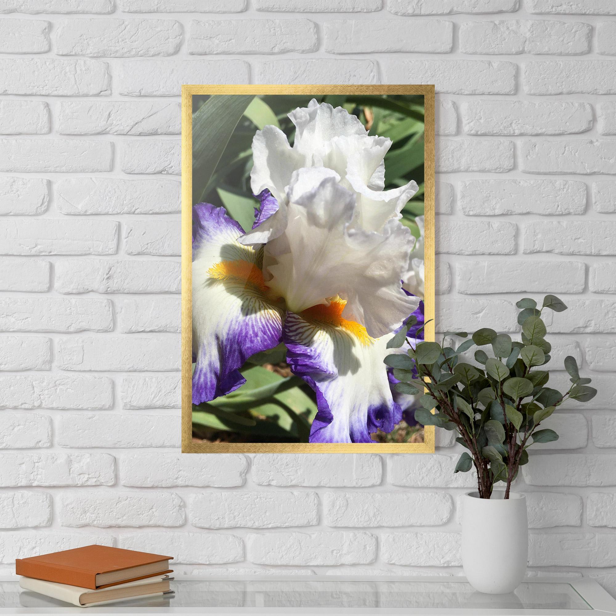 Poster Înrămat Garden White Purple Irirs mockup 5