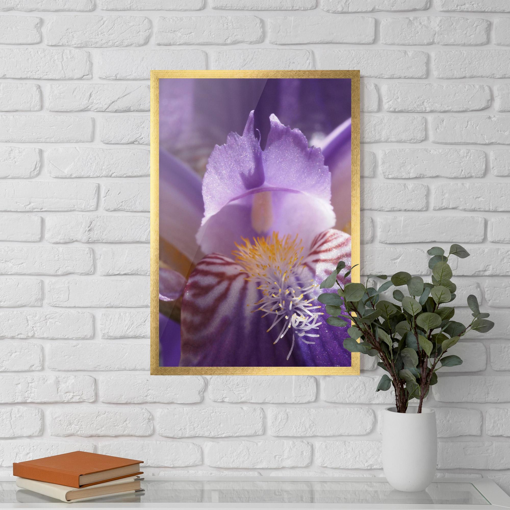 Poster Înrămat Purple Iris Close Up mockup 5