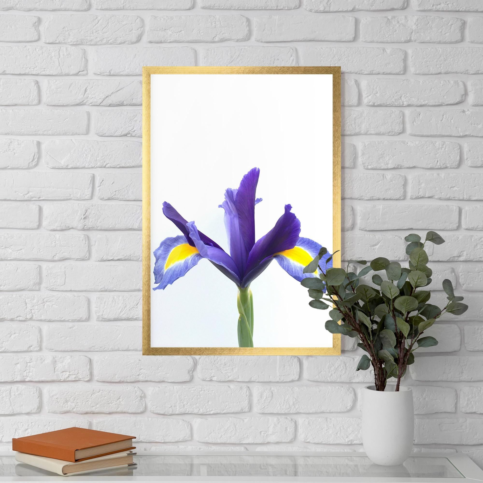 Poster Înrămat Yellow Color Iris mockup 5
