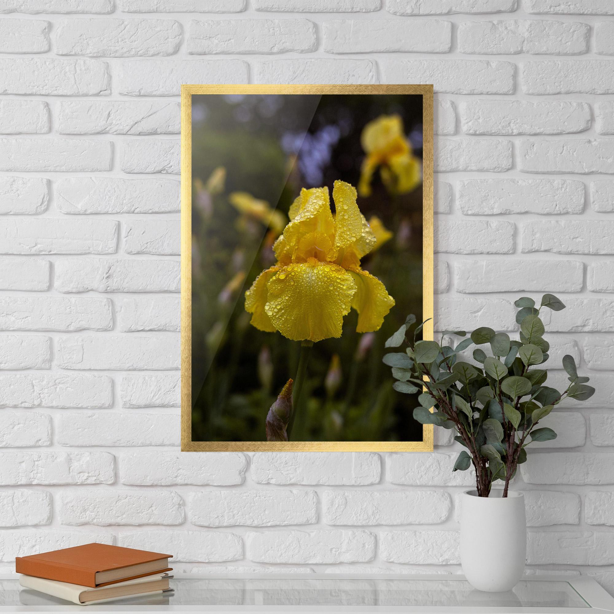 Poster Înrămat Yellow Iris After Rain mockup 5