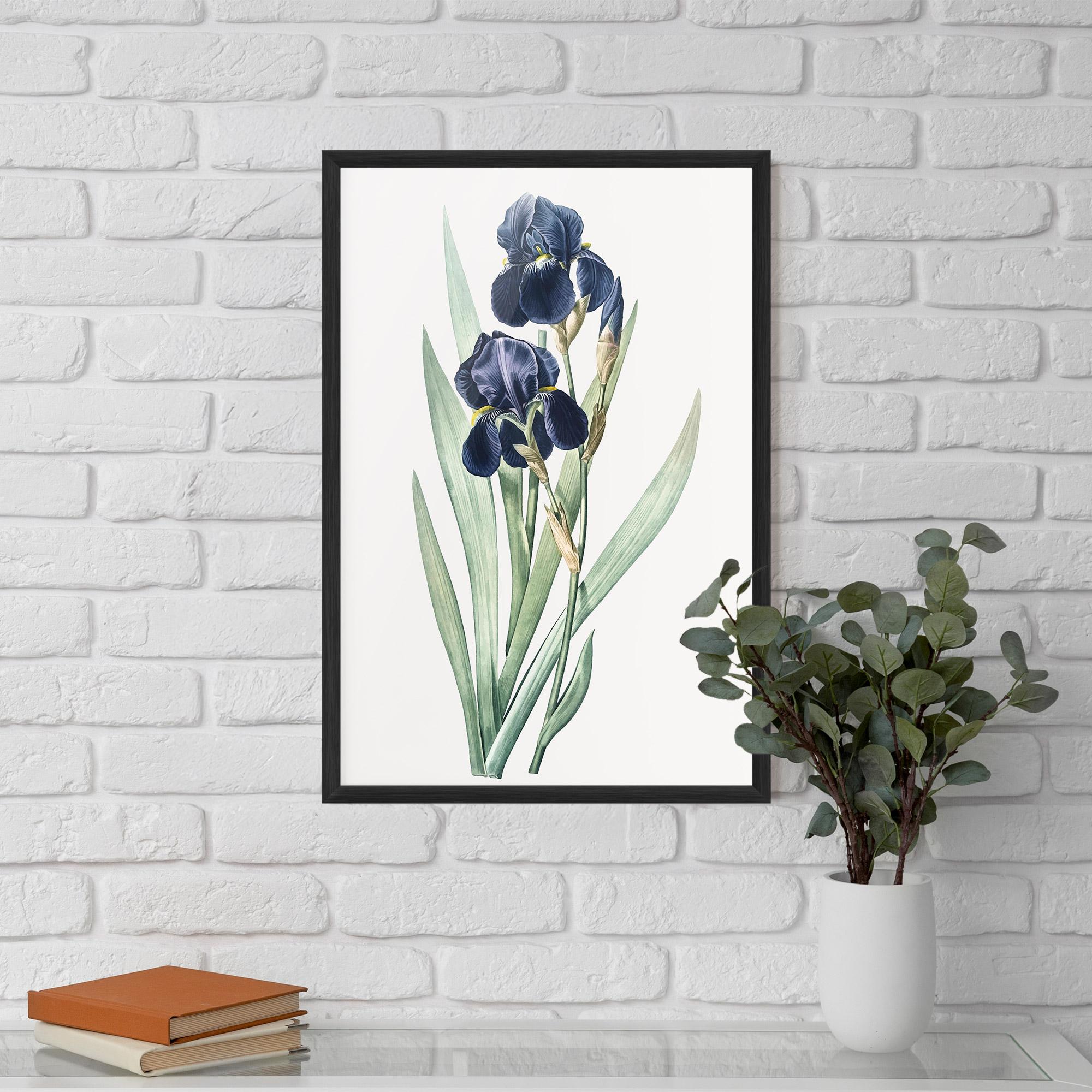 Poster Înrămat Dark Blue Iris mockup 5