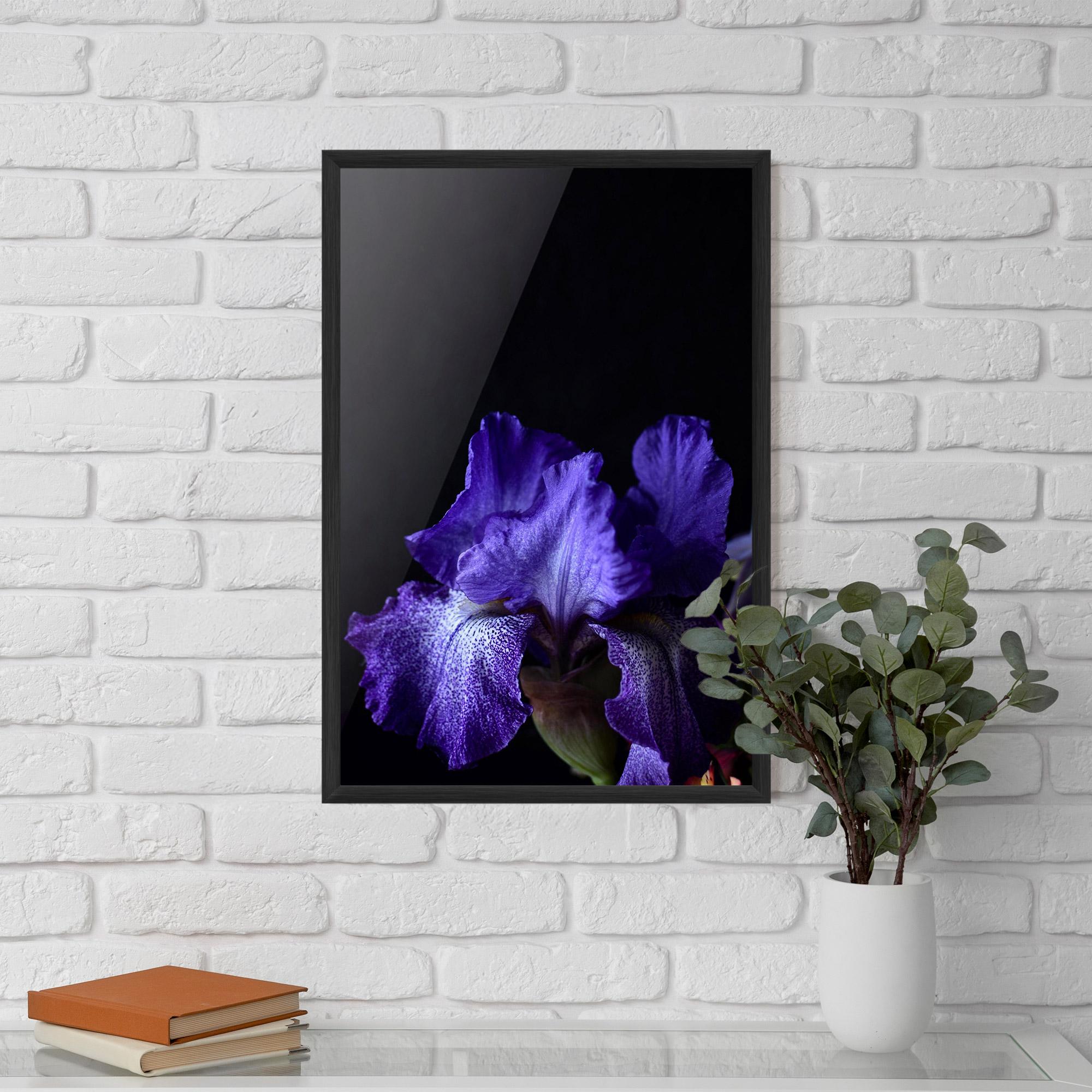 Poster Înrămat Dark Purple Iris On Black mockup 5