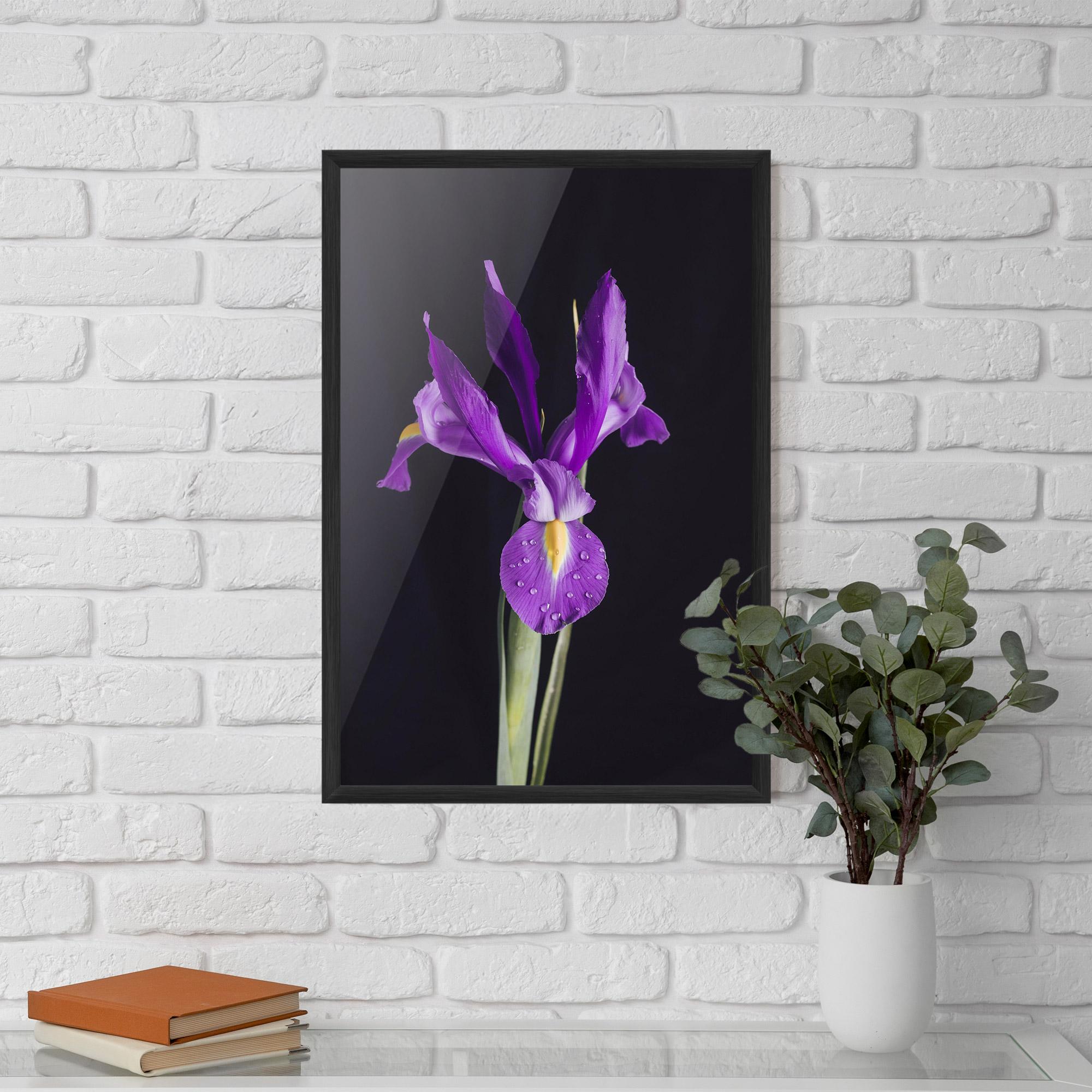 Poster Înrămat Fresh Purple Iris mockup 5