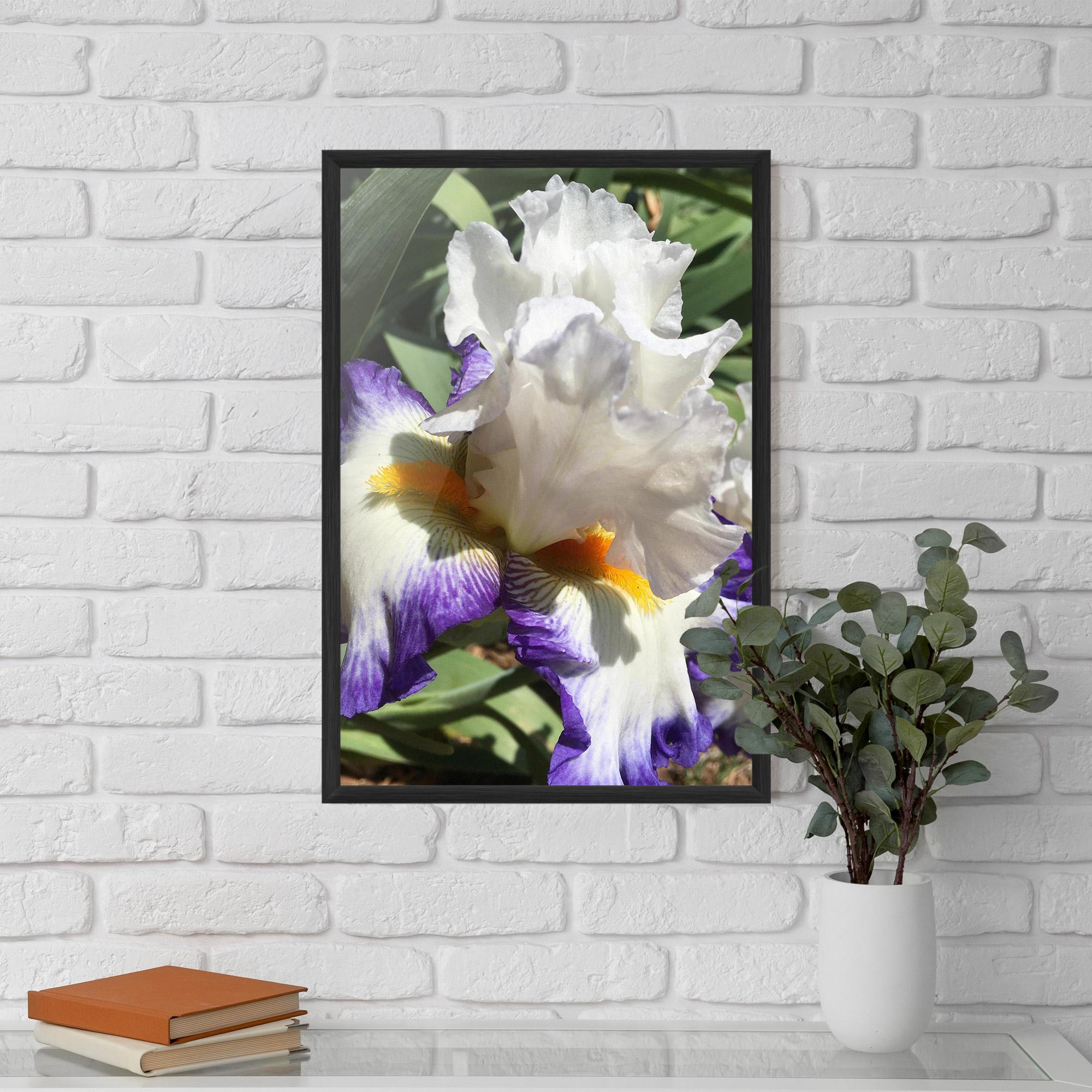 Poster Înrămat Garden White Purple Irirs mockup 5