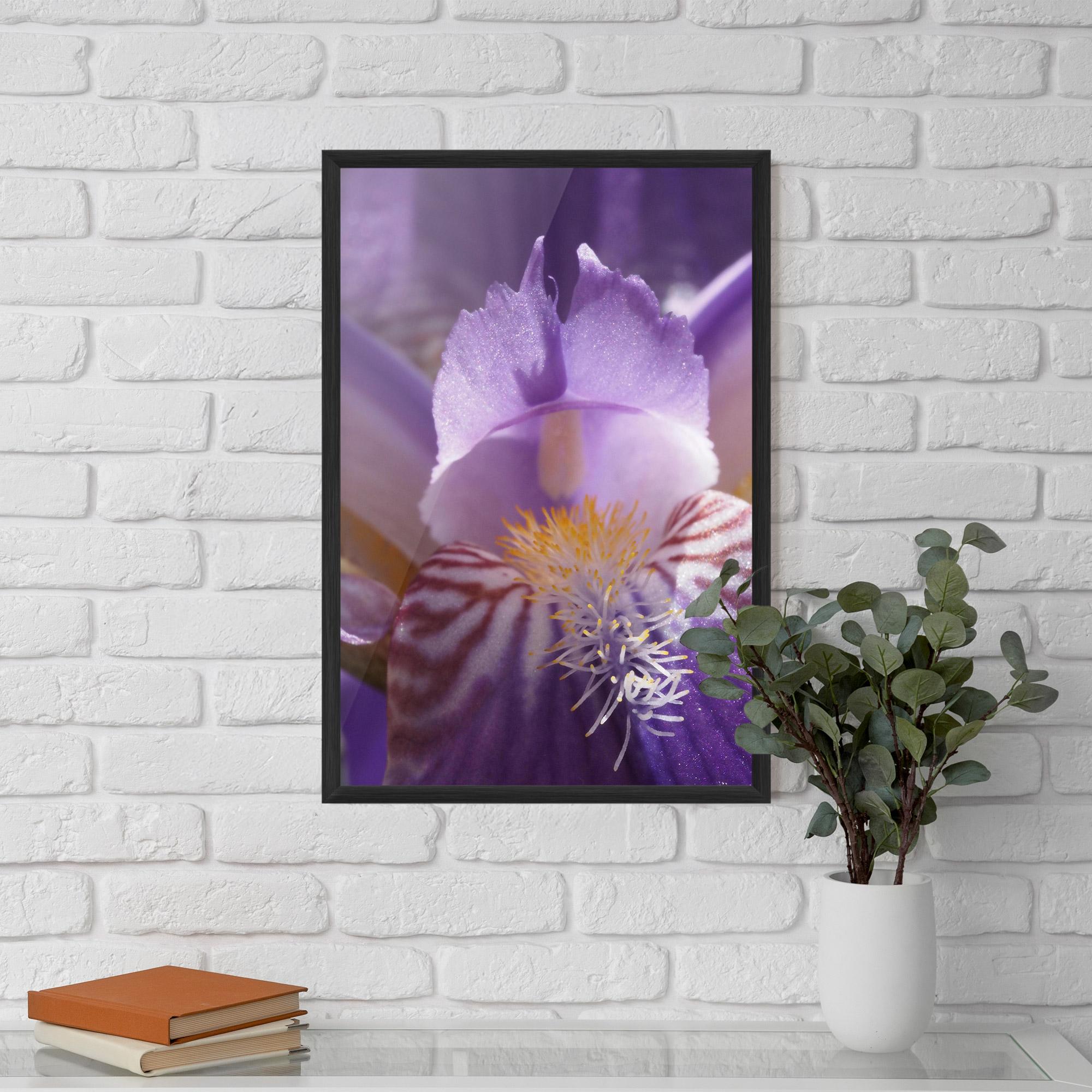 Poster Înrămat Purple Iris Close Up mockup 5