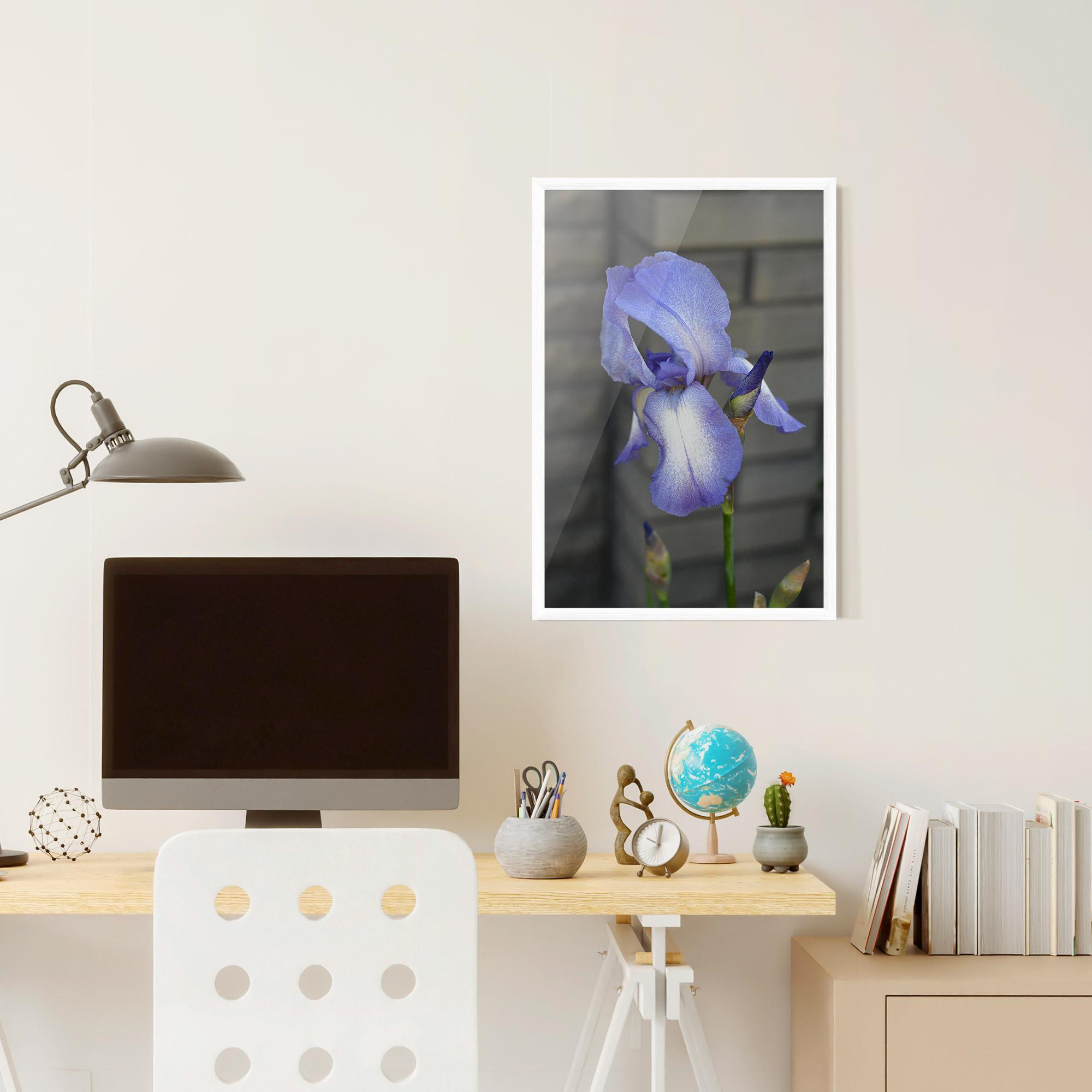 Poster Înrămat Purple Iris On Gray mockup 6