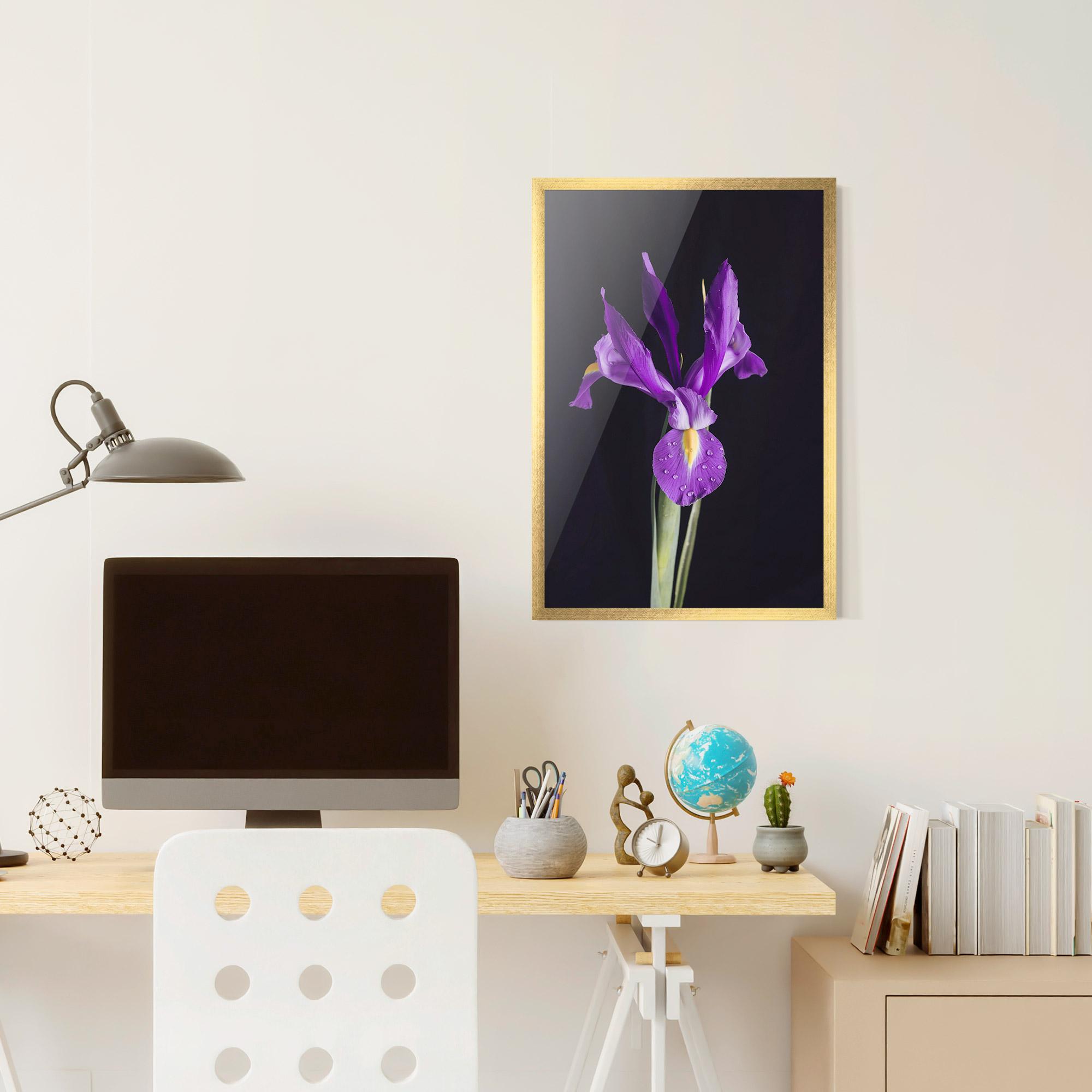 Poster Înrămat Fresh Purple Iris mockup 6
