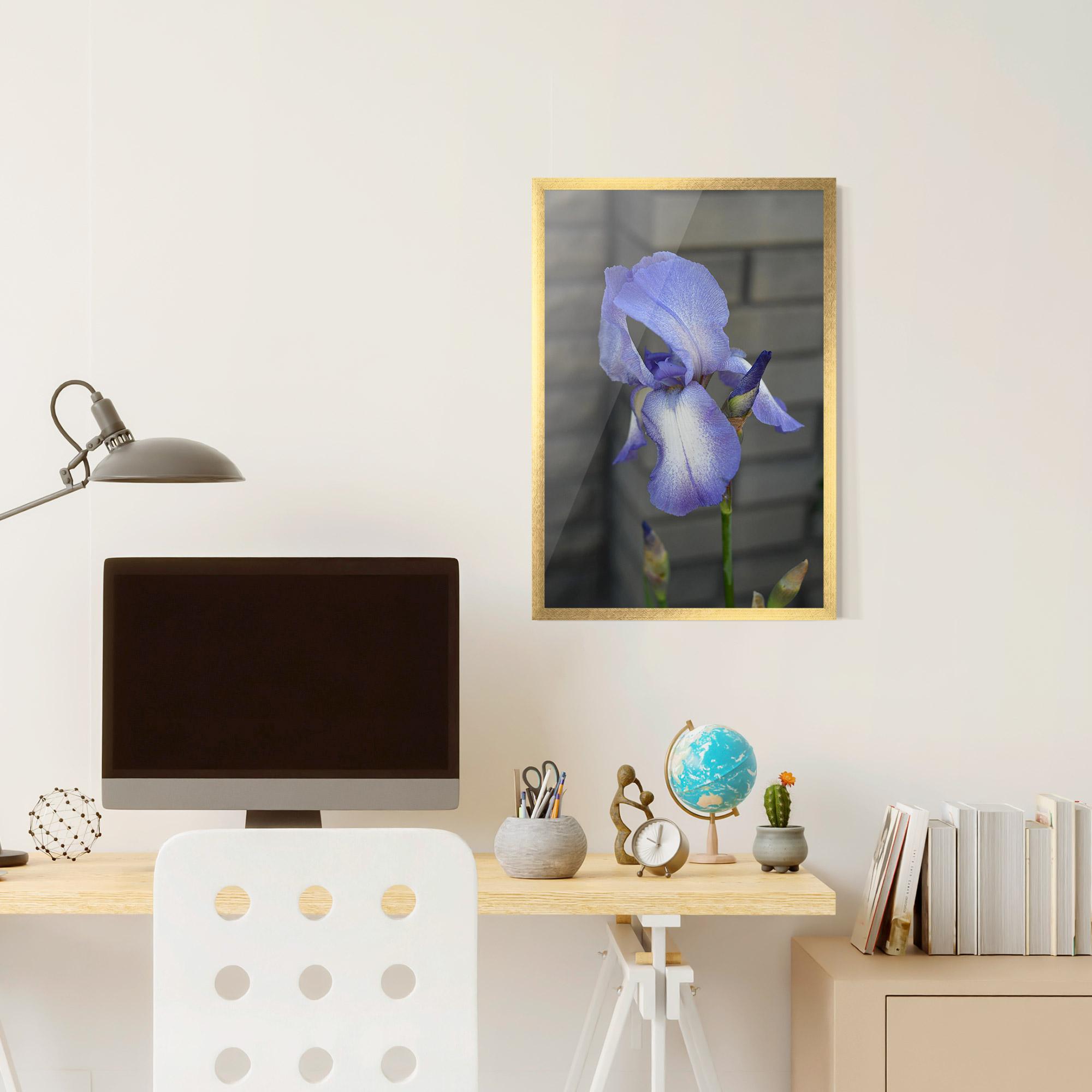 Poster Înrămat Purple Iris On Gray mockup 6