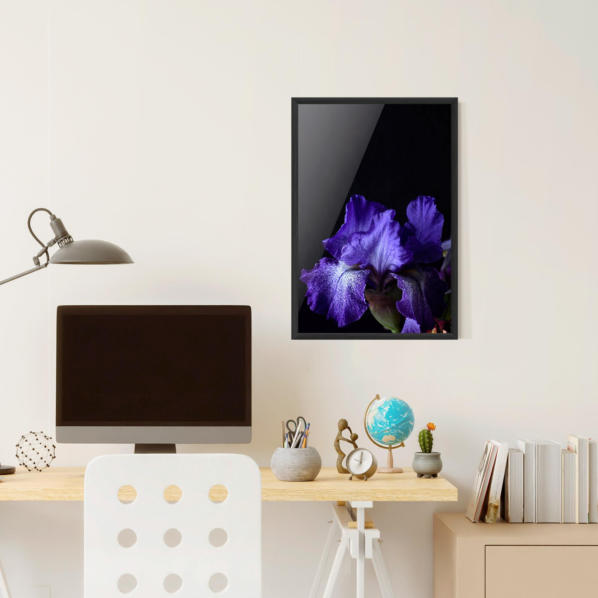 Poster Înrămat Dark Purple Iris On Black mockup 6