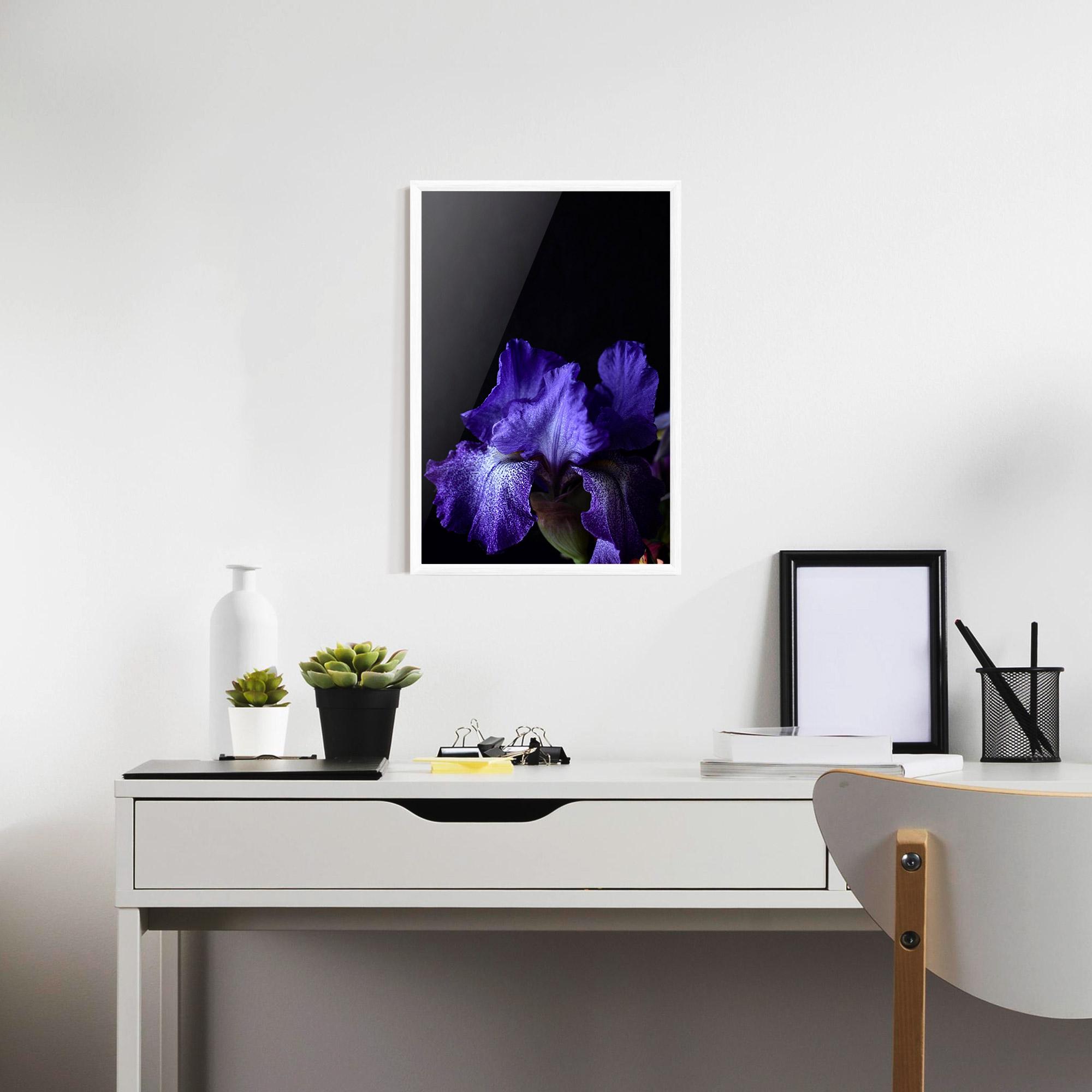 Poster Înrămat Dark Purple Iris On Black mockup 7