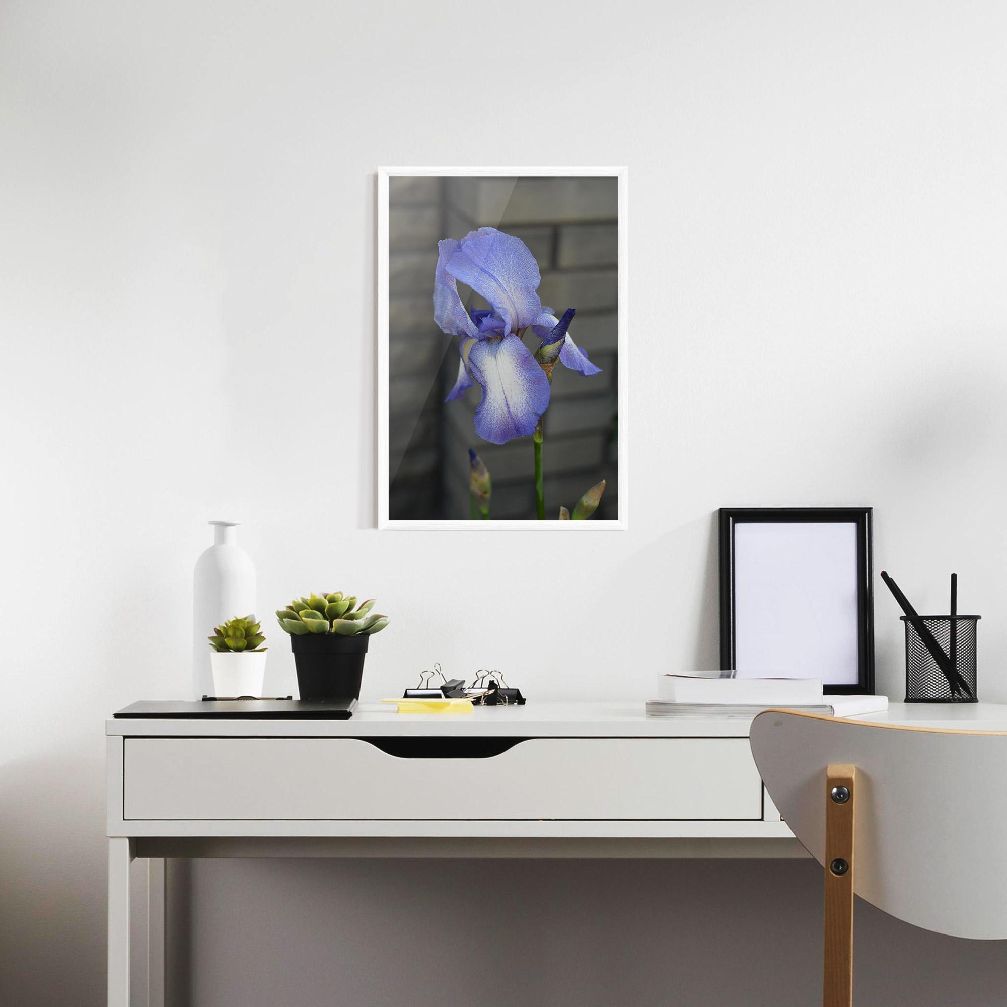 Poster Înrămat Purple Iris On Gray mockup 7